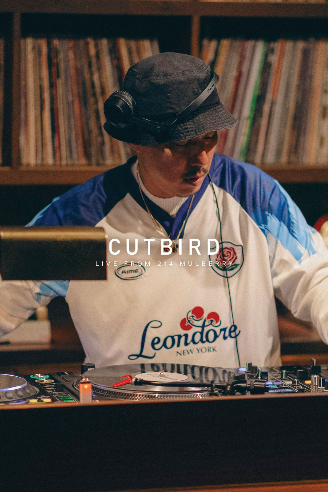 Cutbird at 214 Mulberry