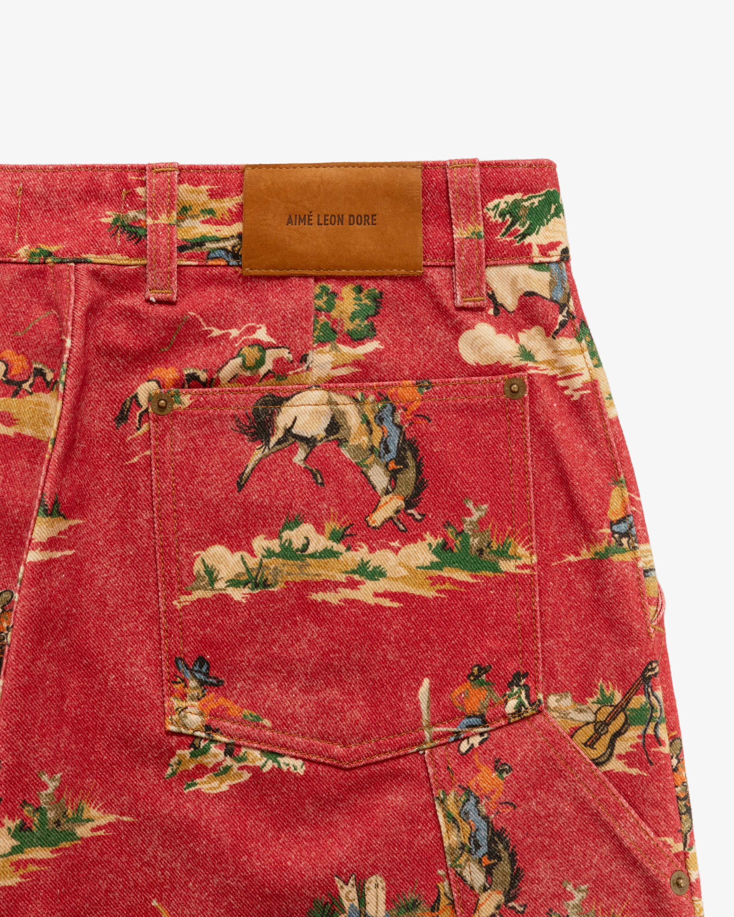 Printed Western Carpenter Pant