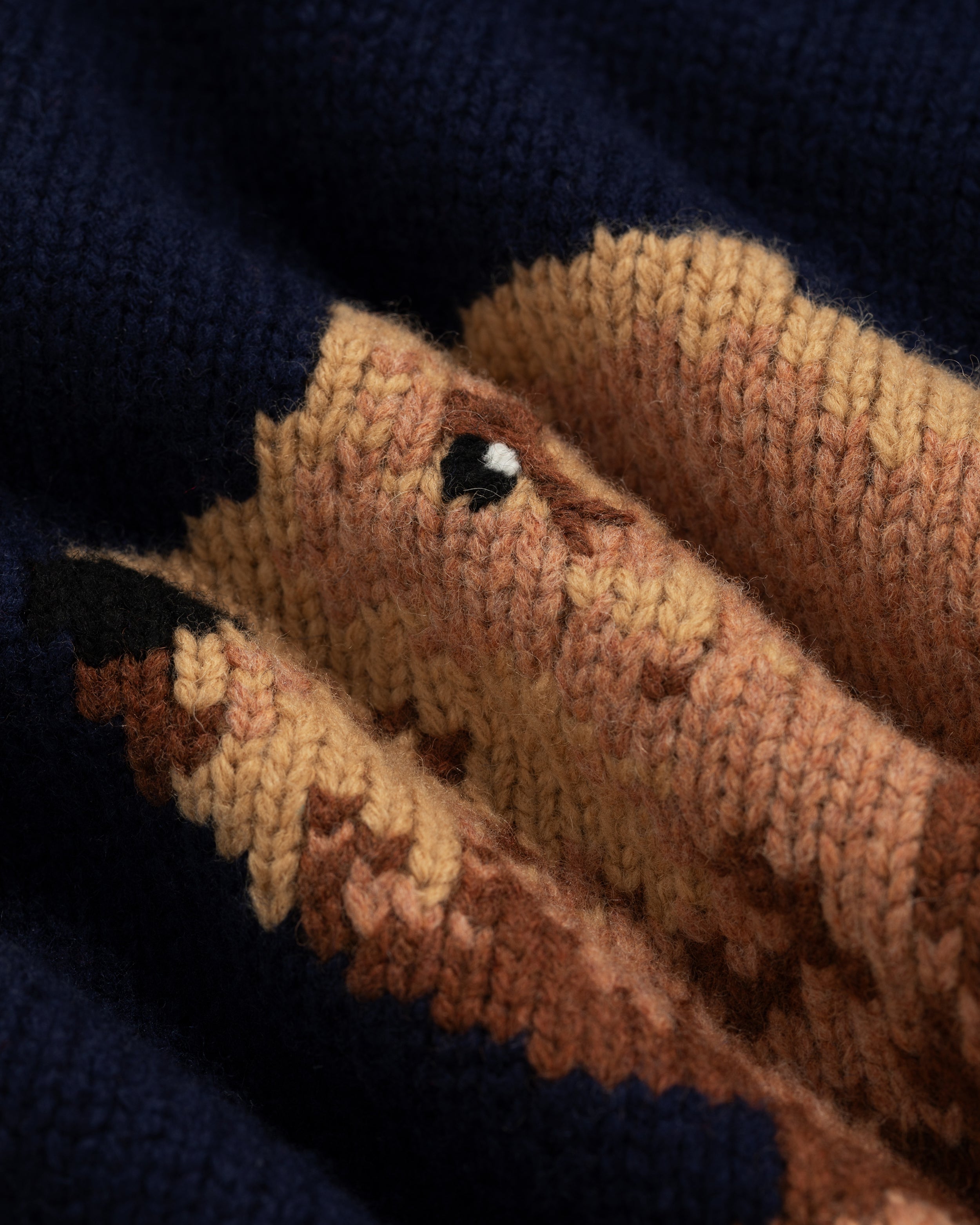 Collegiate Buddy Knit Sweater