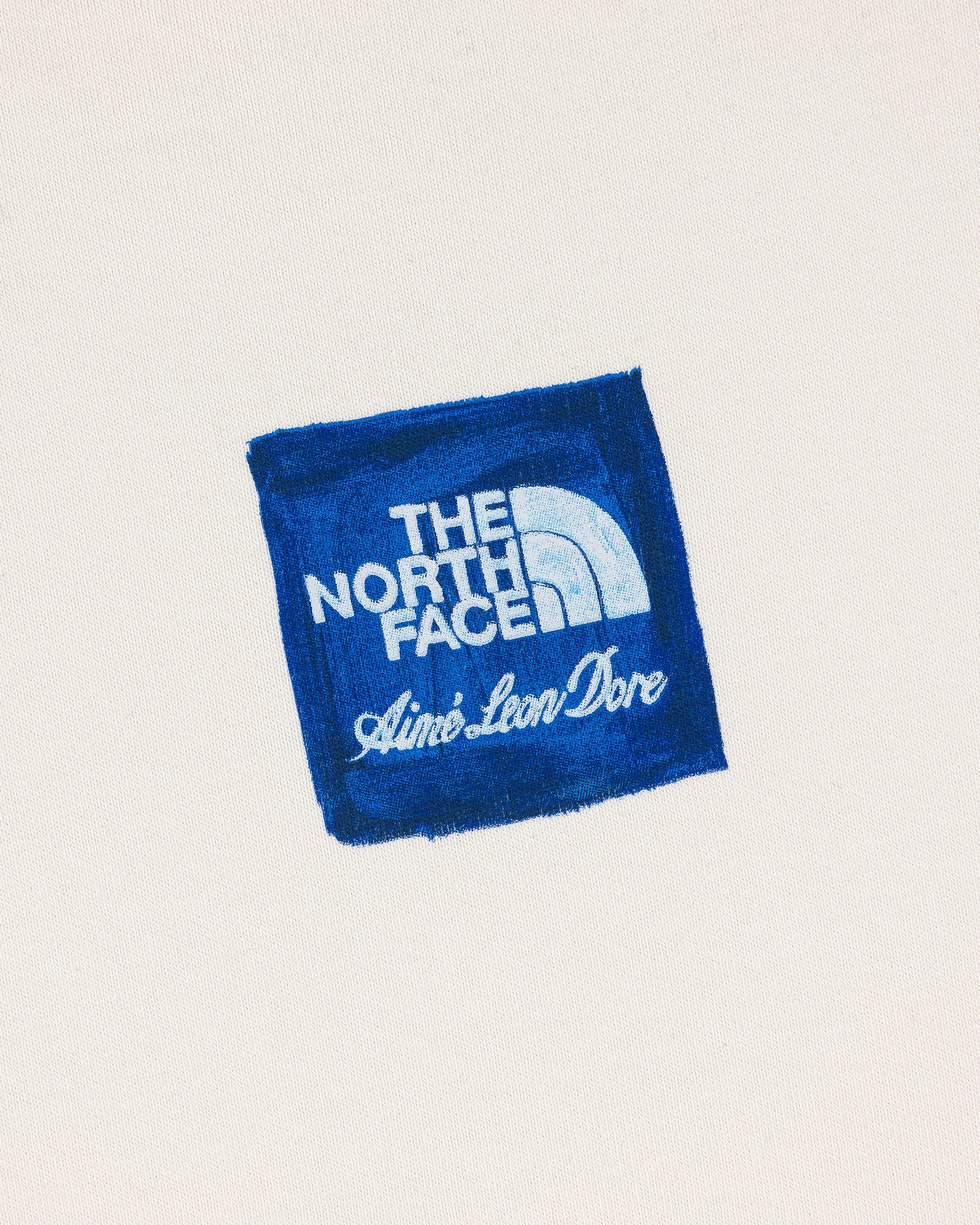 ALD / The North Face Logo Hoodie