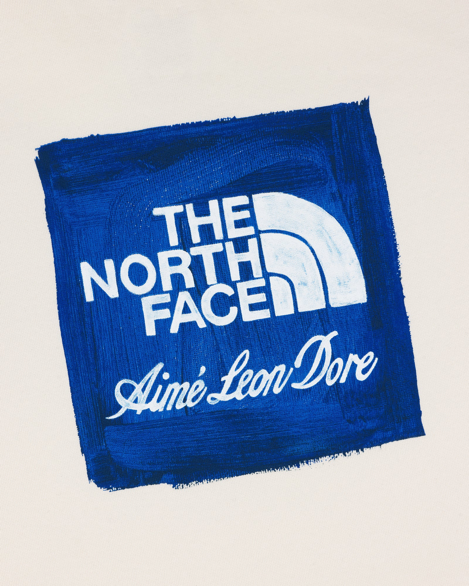 ALD / The North Face Logo Hoodie