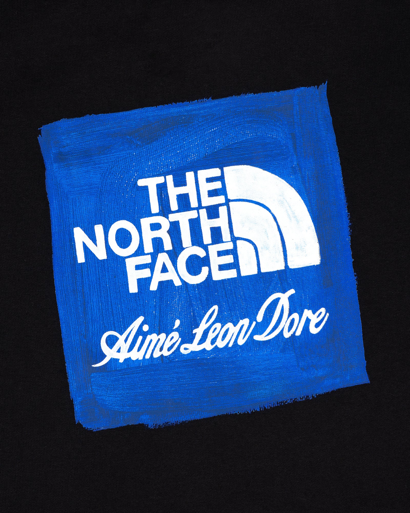 ALD / The North Face Logo Hoodie