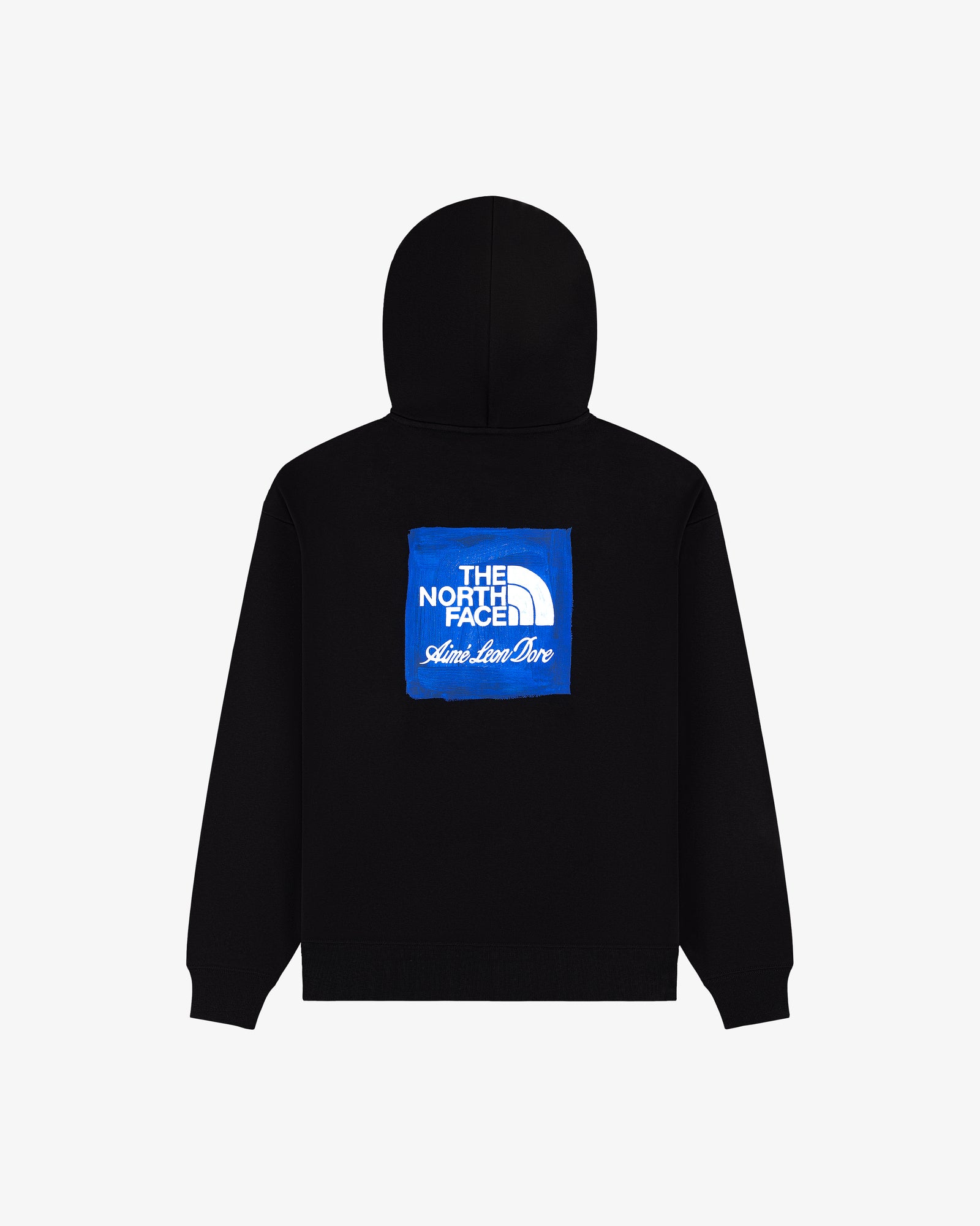 ALD / The North Face Logo Hoodie
