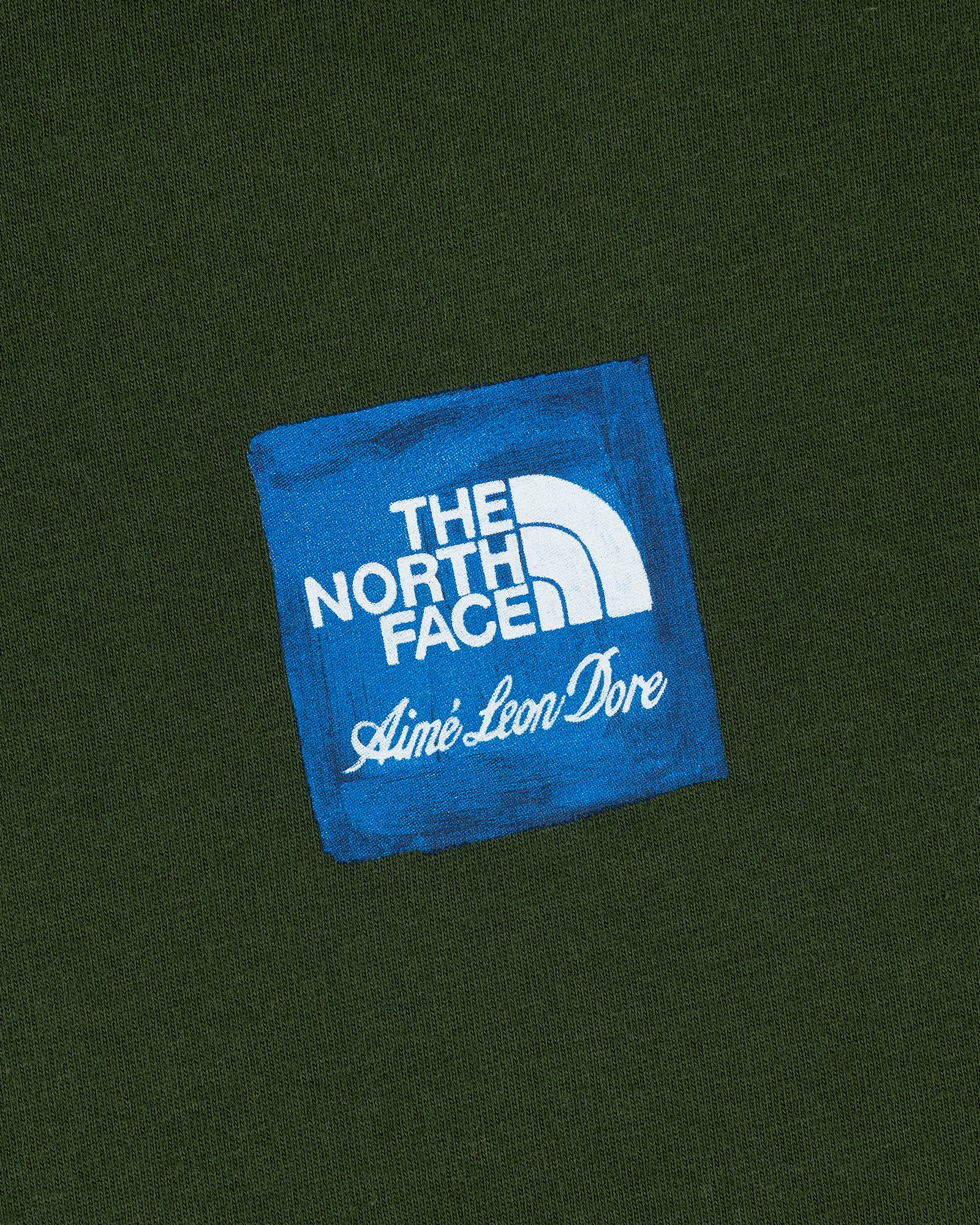 ALD / The North Face Logo Tee