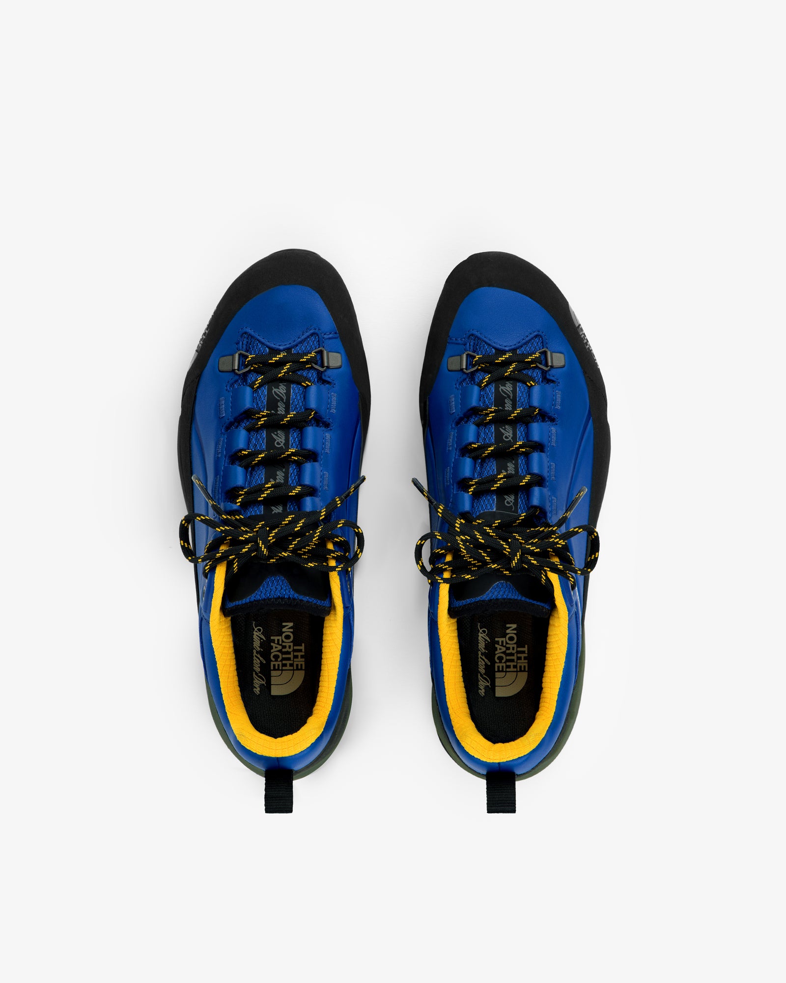 ALD / The North Face Verto Alpine GORE-TEX Hiking Shoes