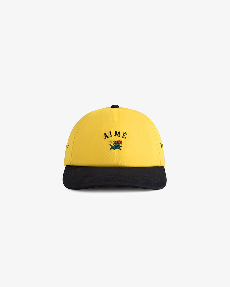 Colorblock Crest Hat