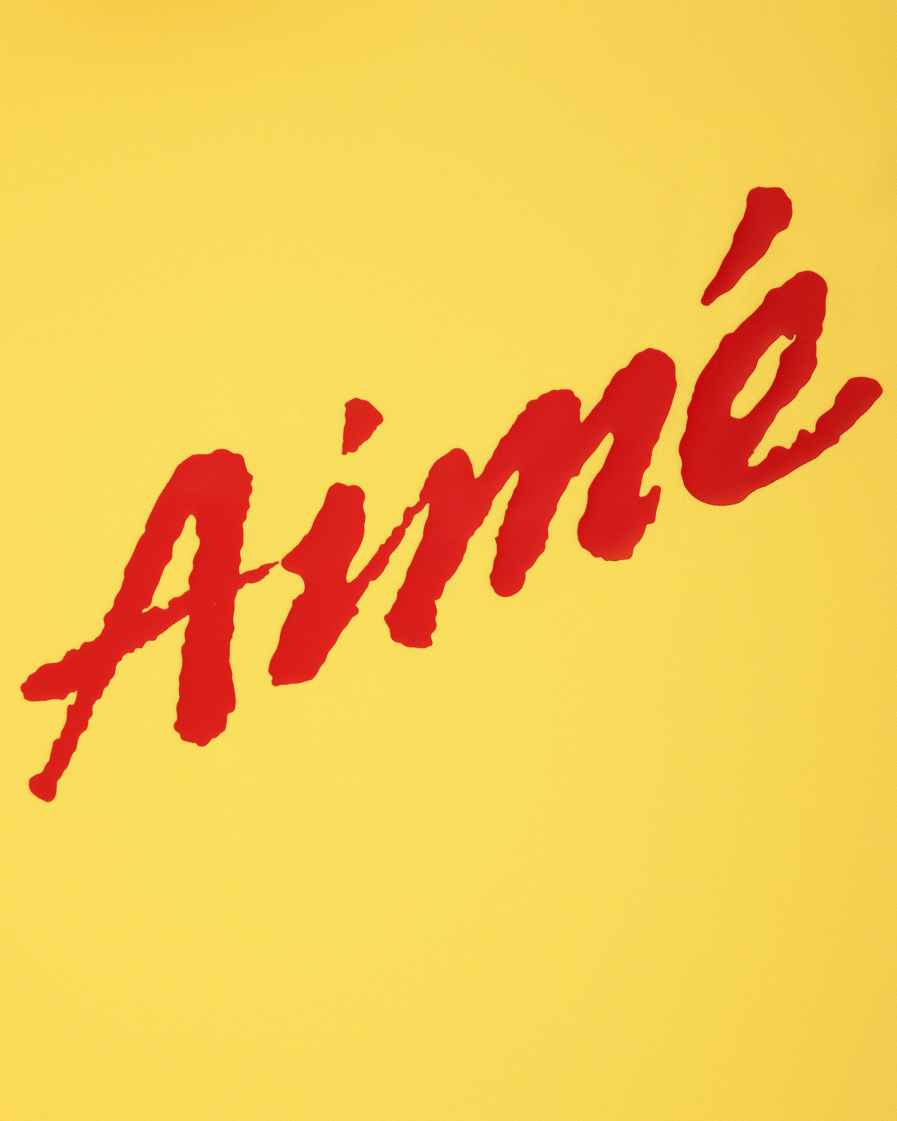Aimé Sport Rash Guard