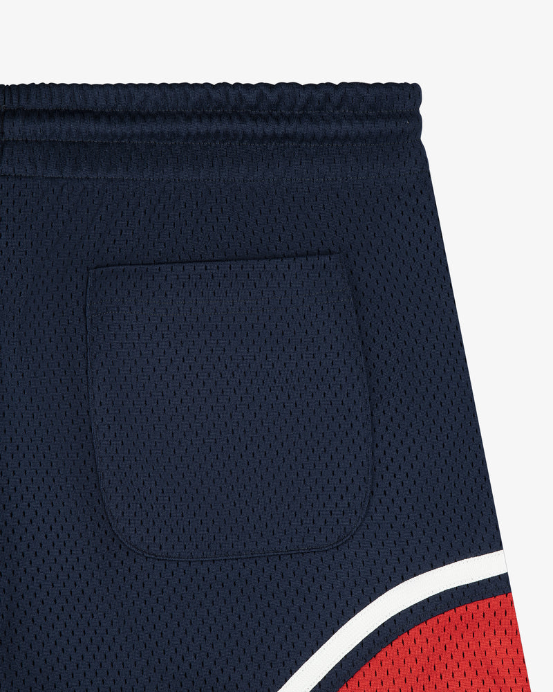 Colorblock Court Short