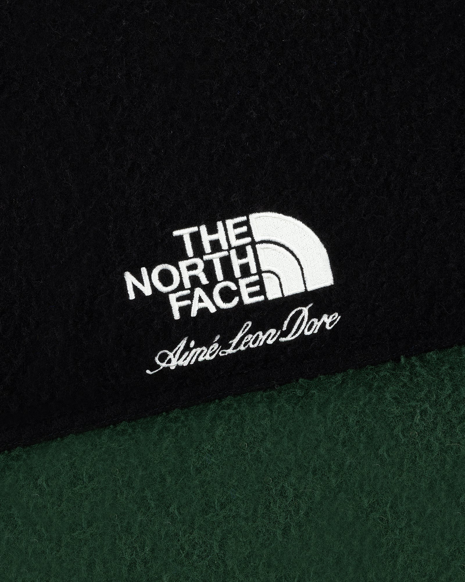 ALD / The North Face Casentino Nuptse Jacket