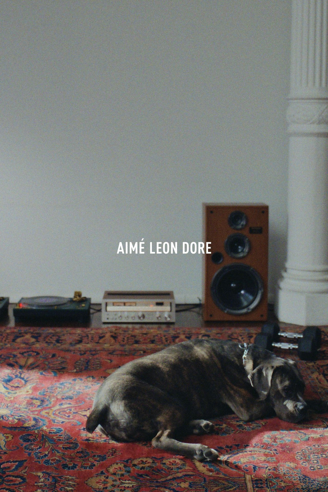 Spring / Summer '26 Uniform