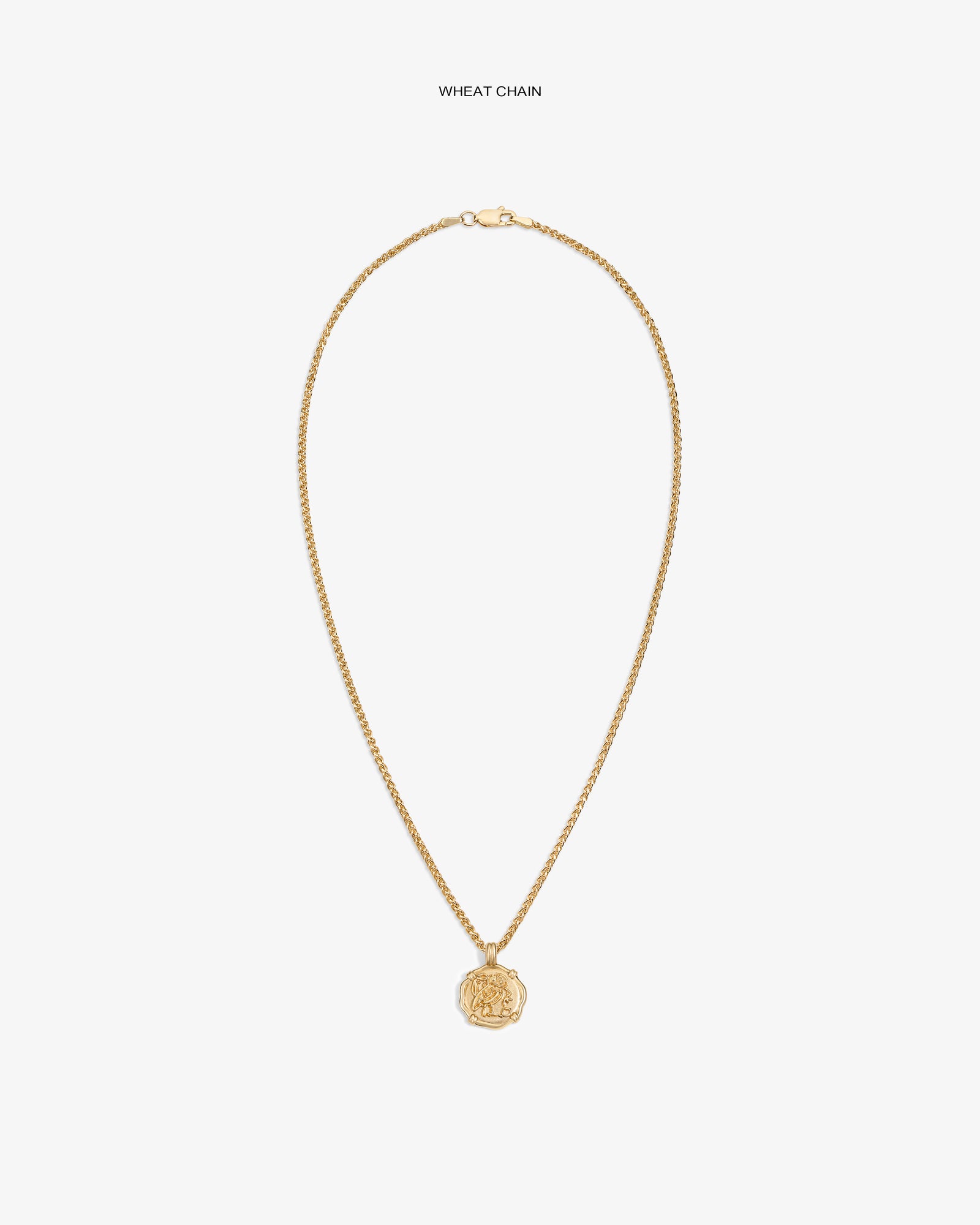 14Kt Gold Coin Pendant with a wheat chain shown on a plain white background.