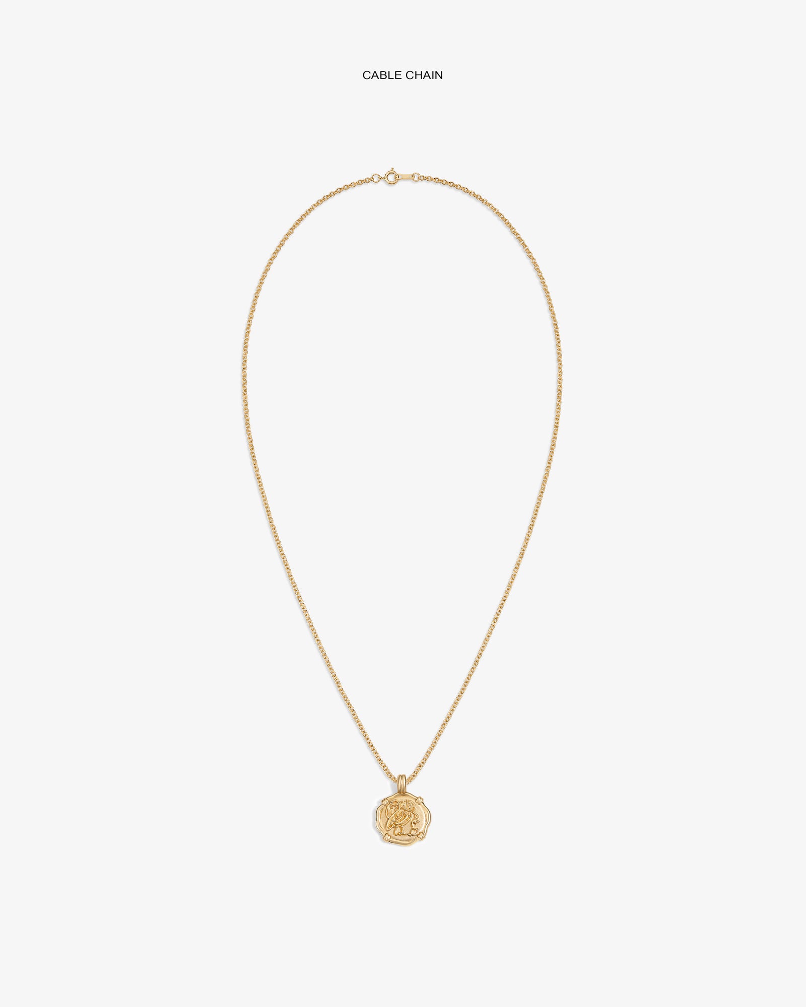 14Kt Gold Coin Pendant necklace with a gold cable chain on a plain white background.