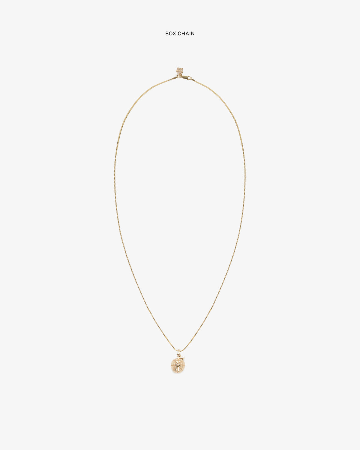 14Kt Sonny Apple Pendant on a gold box chain displayed against a plain white background.