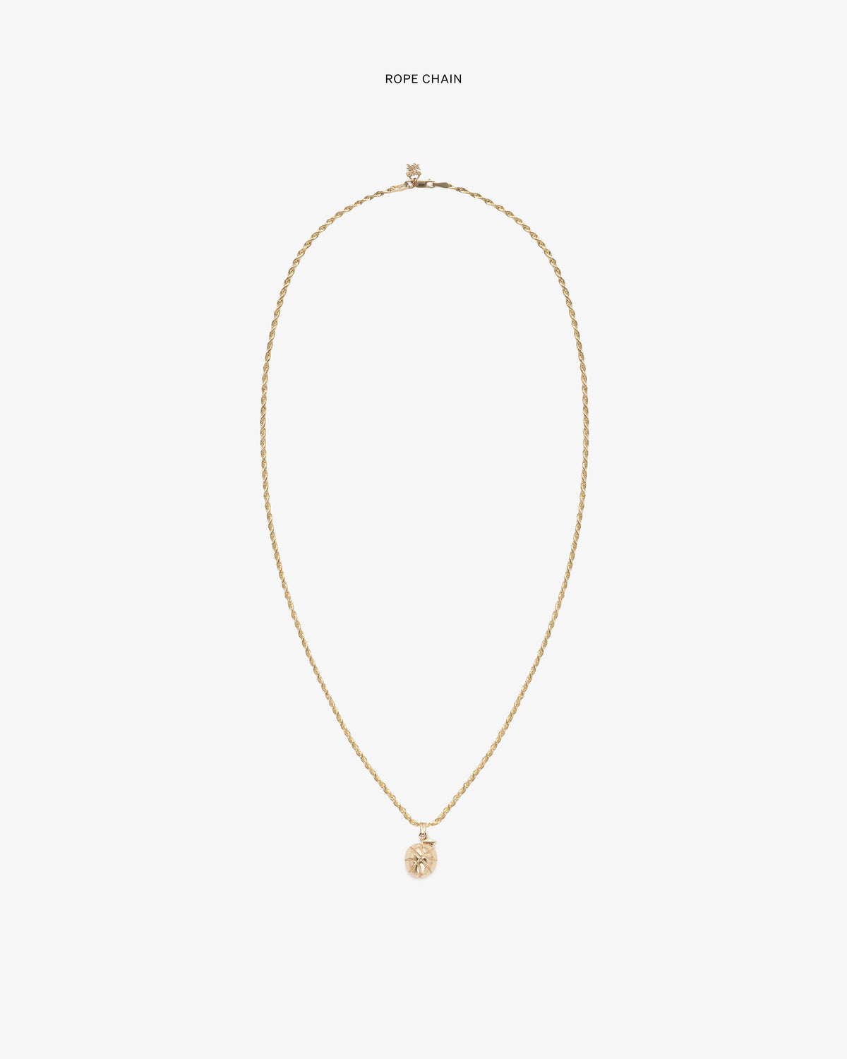 14Kt Sonny Apple Pendant on a gold rope chain, shown against a plain white background.