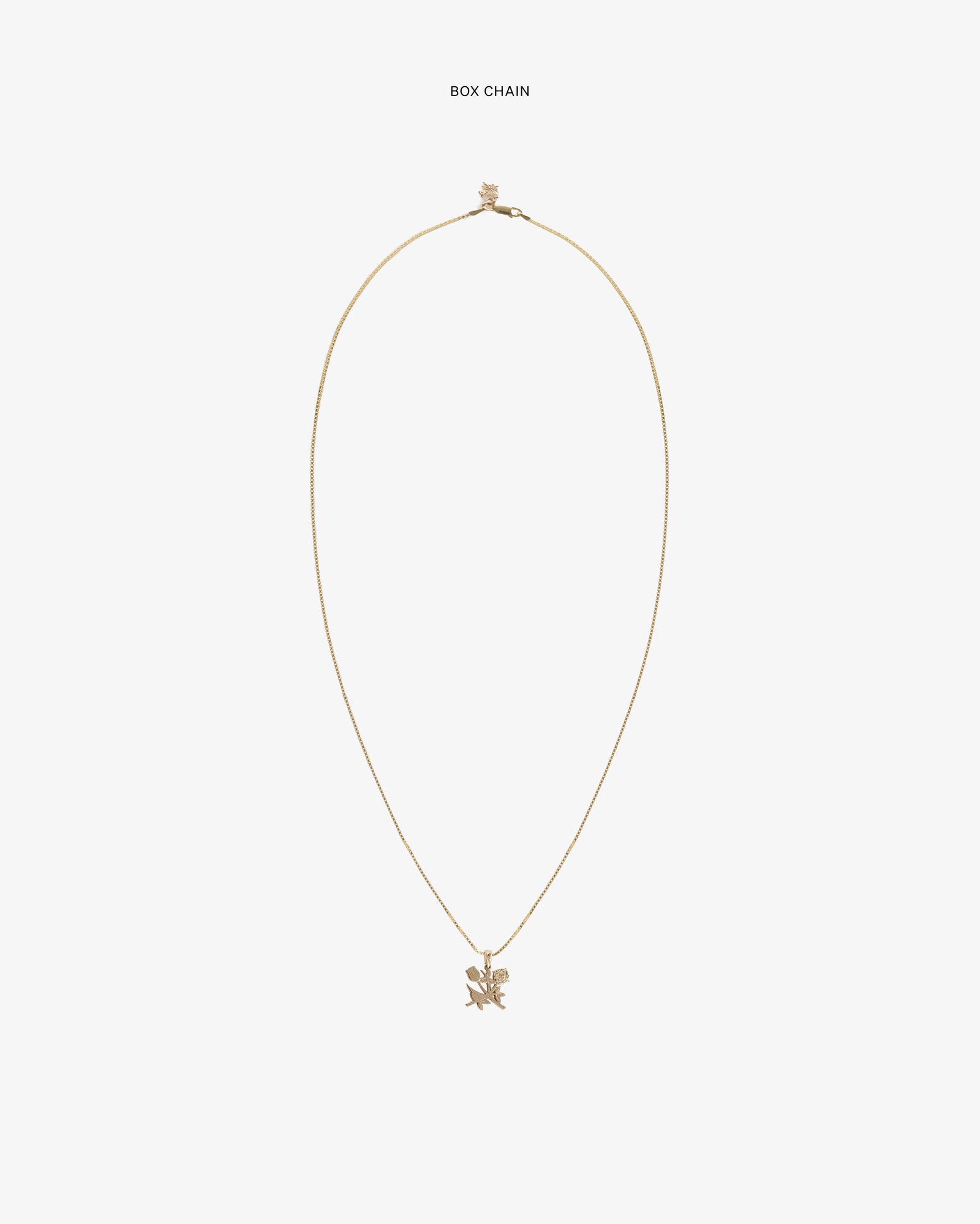 14Kt Gold Pendant – Aimé Leon Dore EU