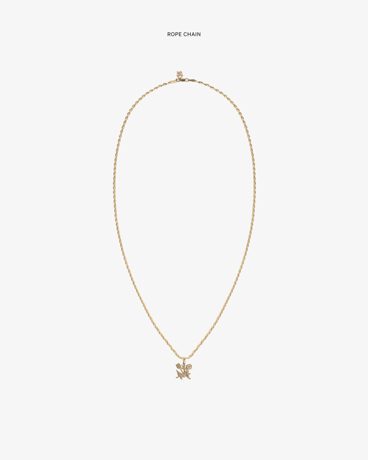 14Kt Gold Pendant necklace with rope chain and small lion charm on a plain white background.