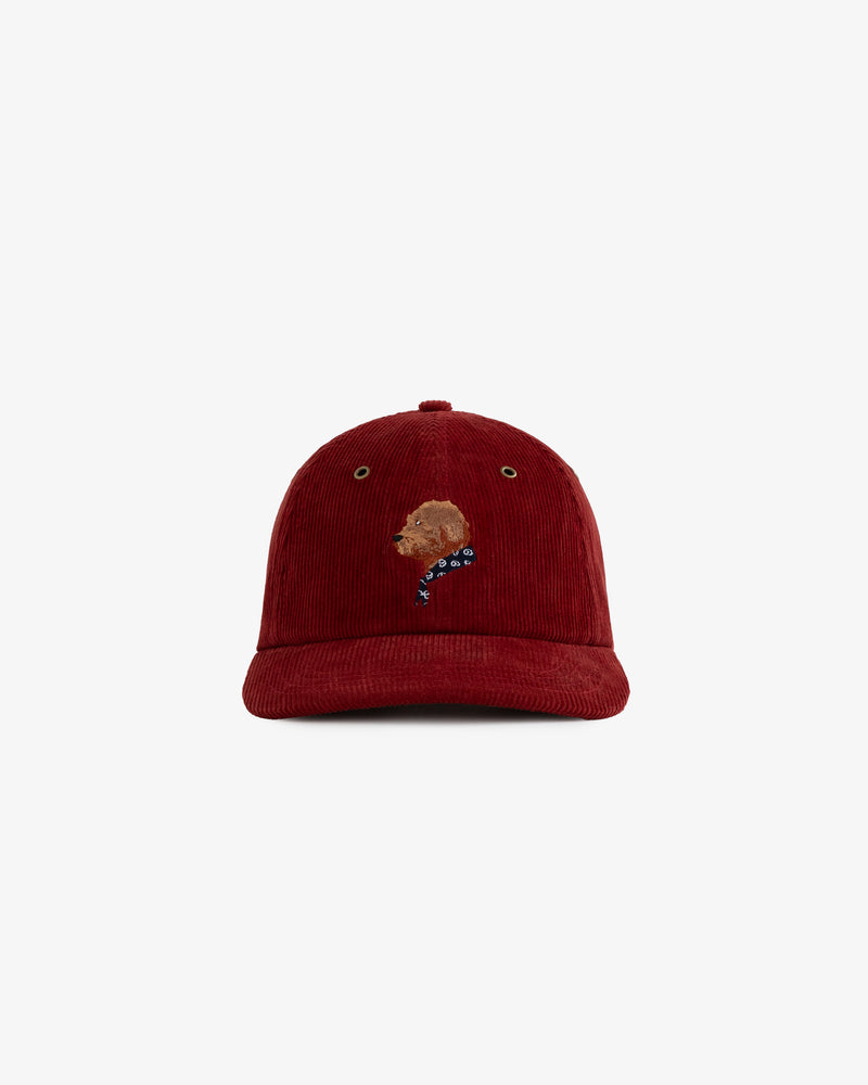 Corduroy Buddy Hat