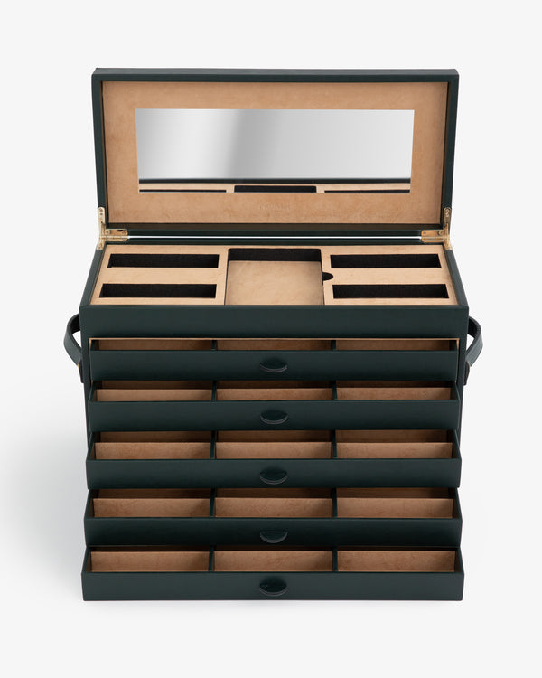 ALD Eyewear Display Case