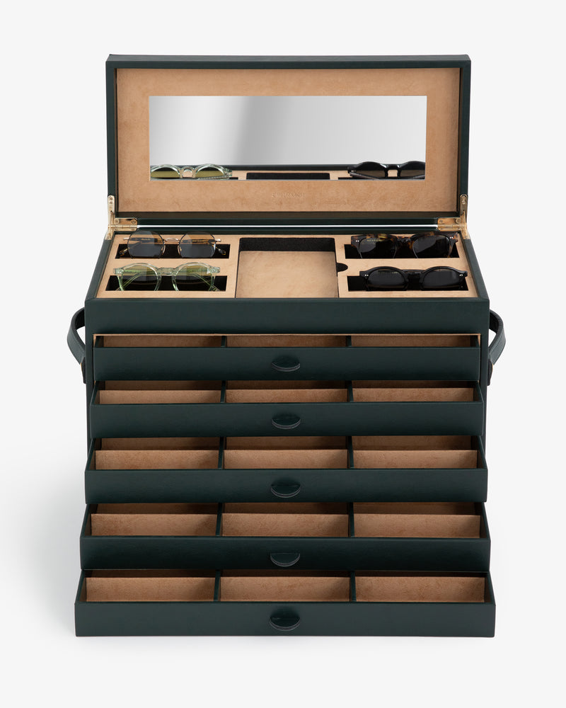 ALD Eyewear Display Case