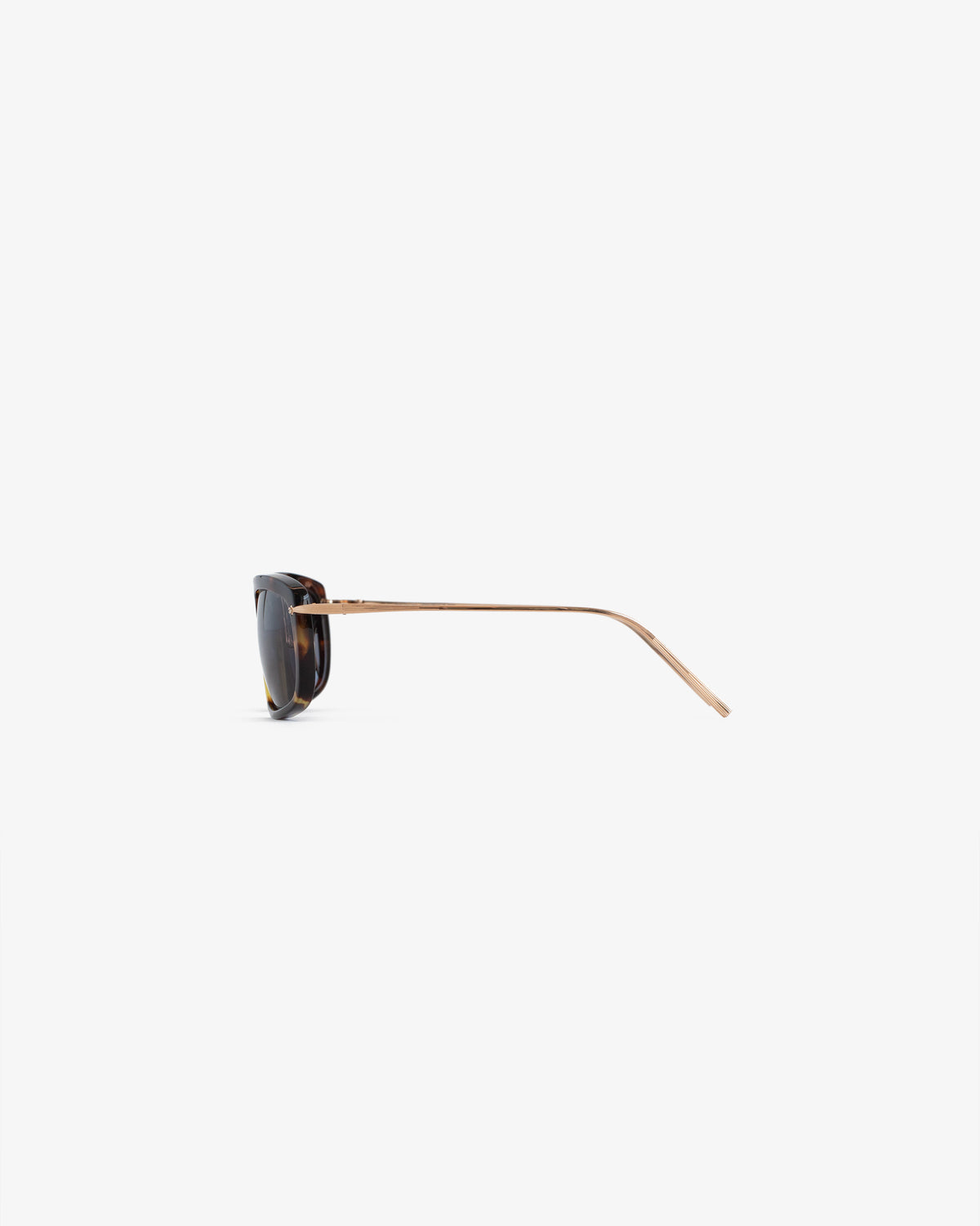 Side view of Ace Sunglasses with tortoiseshell frame and thin gold temples on a plain white background.