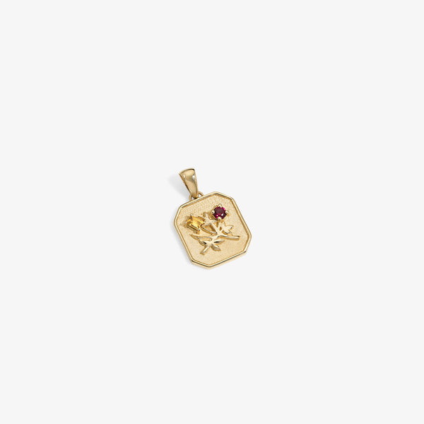 14Kt Gold Queens Crest Relief Pendant – Aimé Leon Dore EU