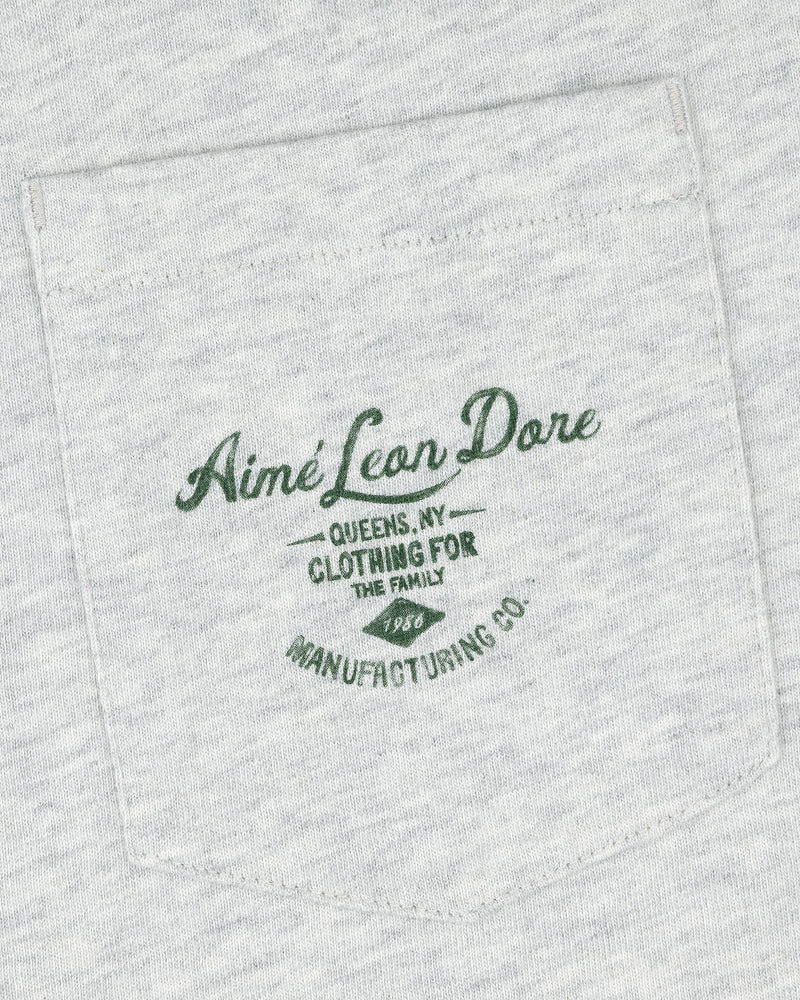 Light gray General Store Pocket Tee with green Aimé Leon Dore, Queens NY text on the chest pocket.