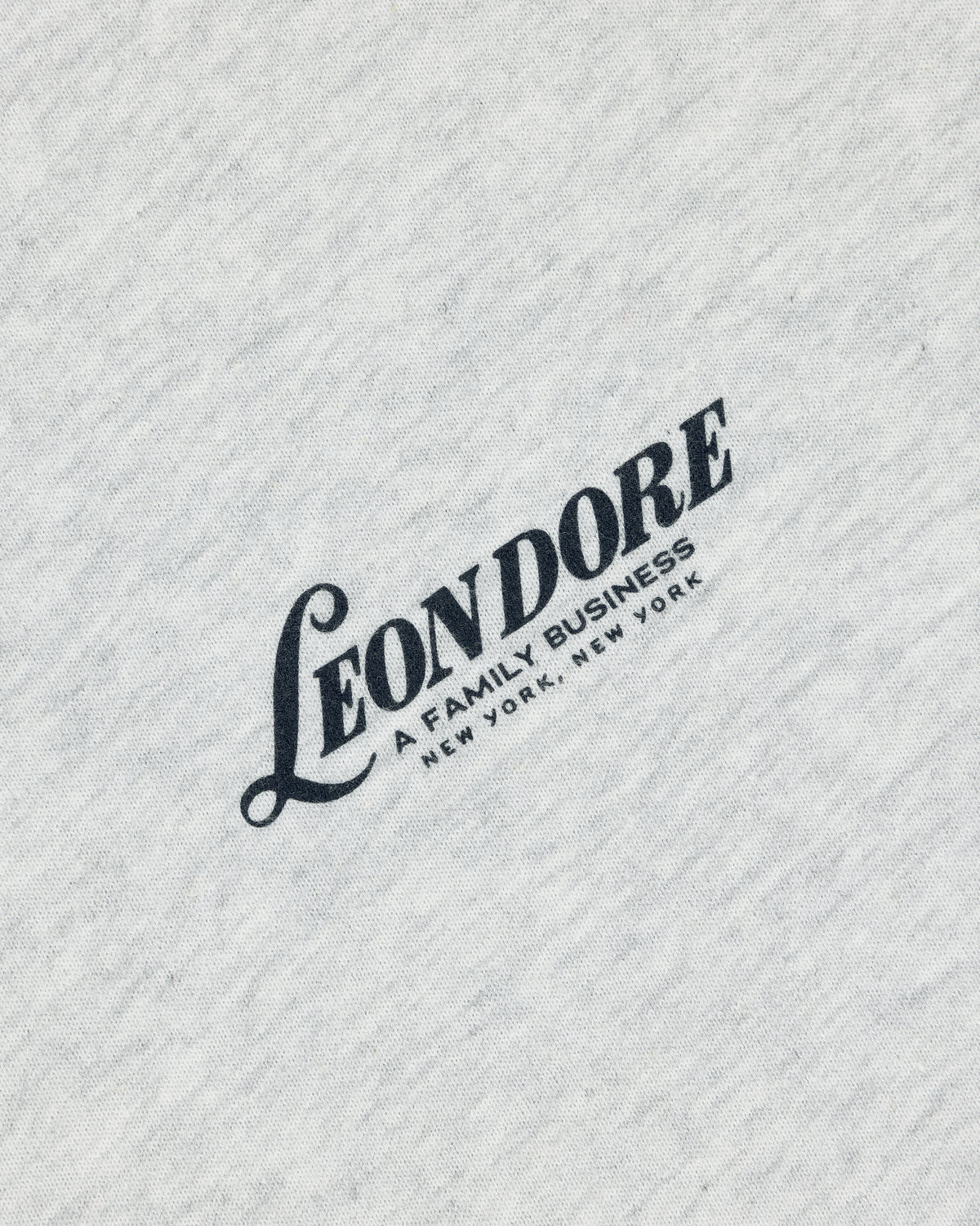 Gray Leon Dore Tee with black "LEON DORE, A FAMILY BUSINESS, NEW YORK, NEW YORK" text in a diagonal layout.