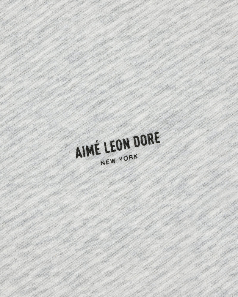 Close-up of a gray Micro Logo Tee with AIMÉ LEON DORE NEW YORK printed in black at the center.