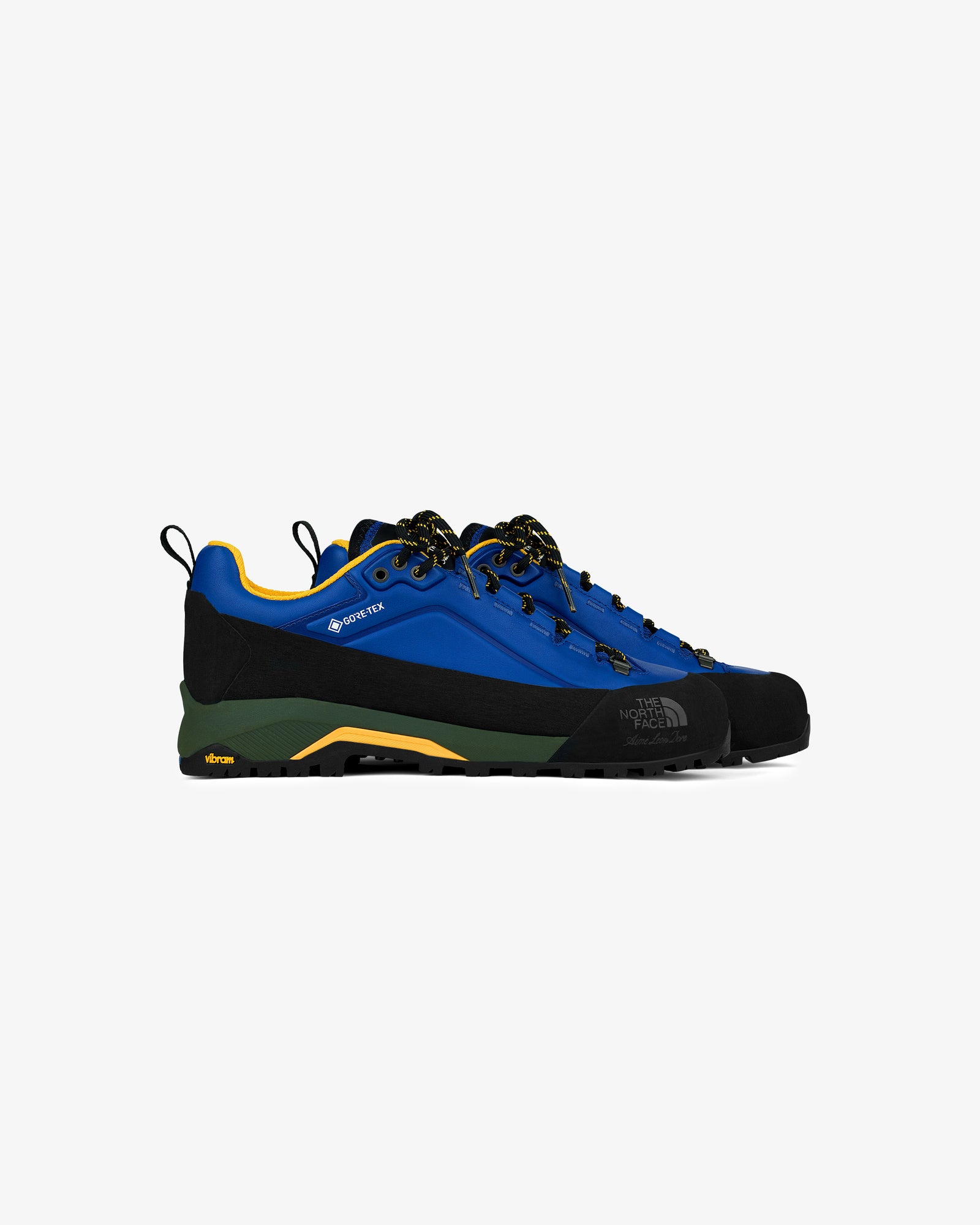 ALD / The North Face Verto Alpine GORE-TEX Hiking Shoes