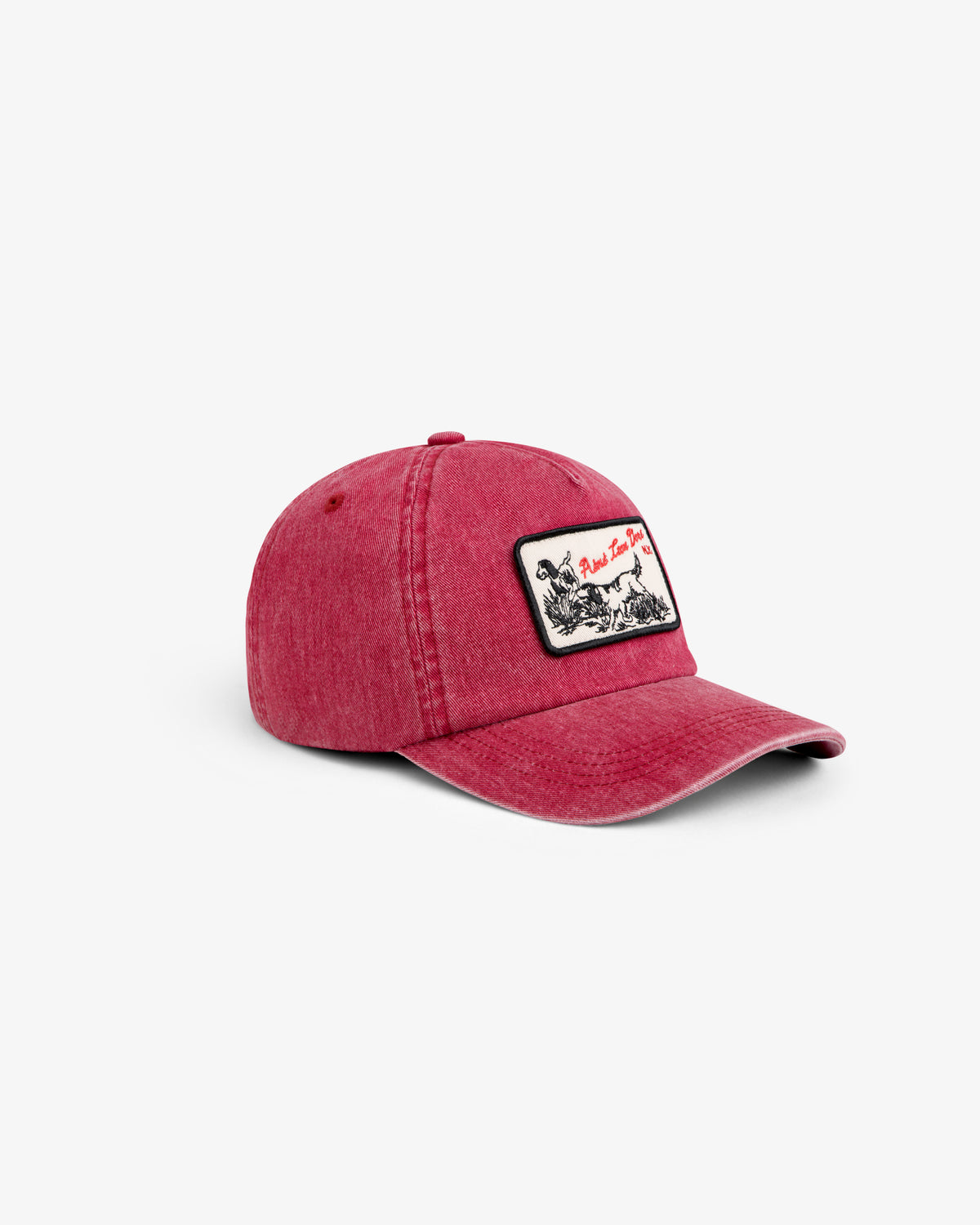 Faded red Aimé Retriever Hat featuring a rectangular patch with an illustration of a dog.