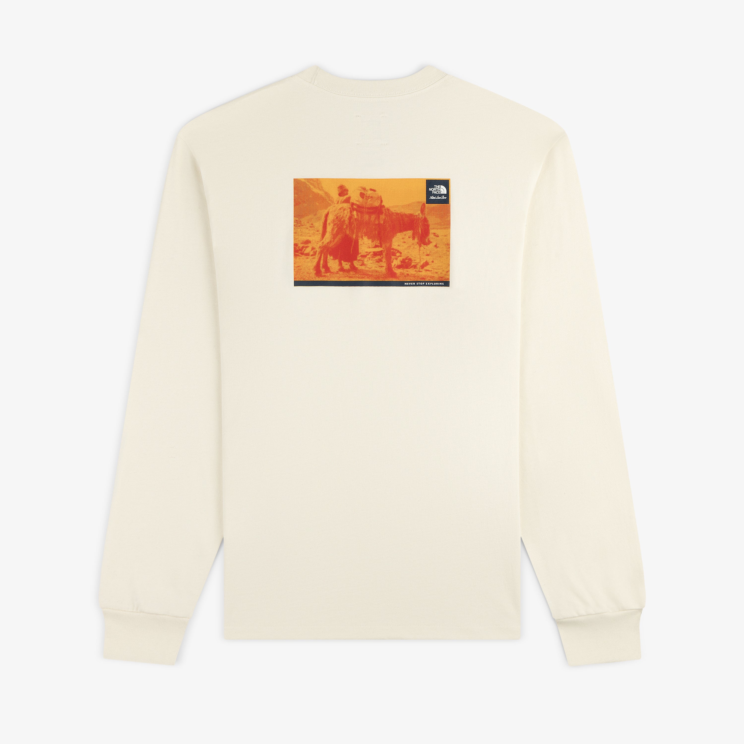 typeshade ロンT ALD / The North Face Long-Sleeve Explorer Tee – Aimé Leon Dore EU