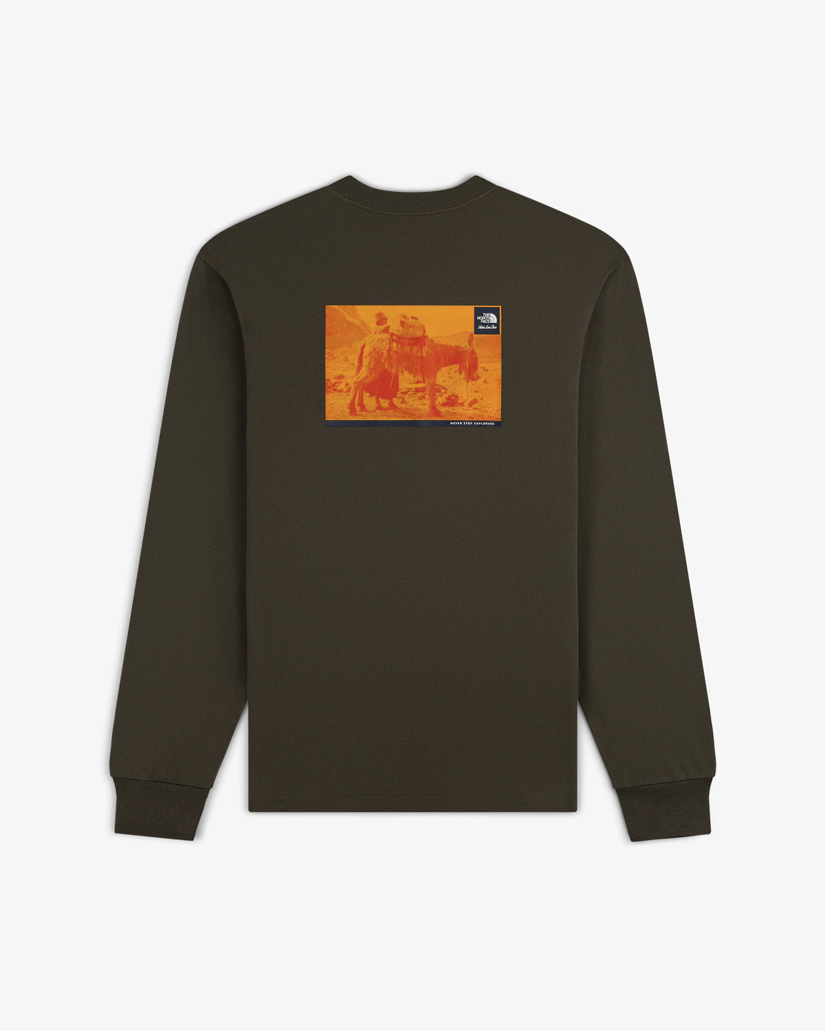 ALD/The North Face Long-Sleeve Explorer Tee with orange-yellow graphic and small logo on the back.