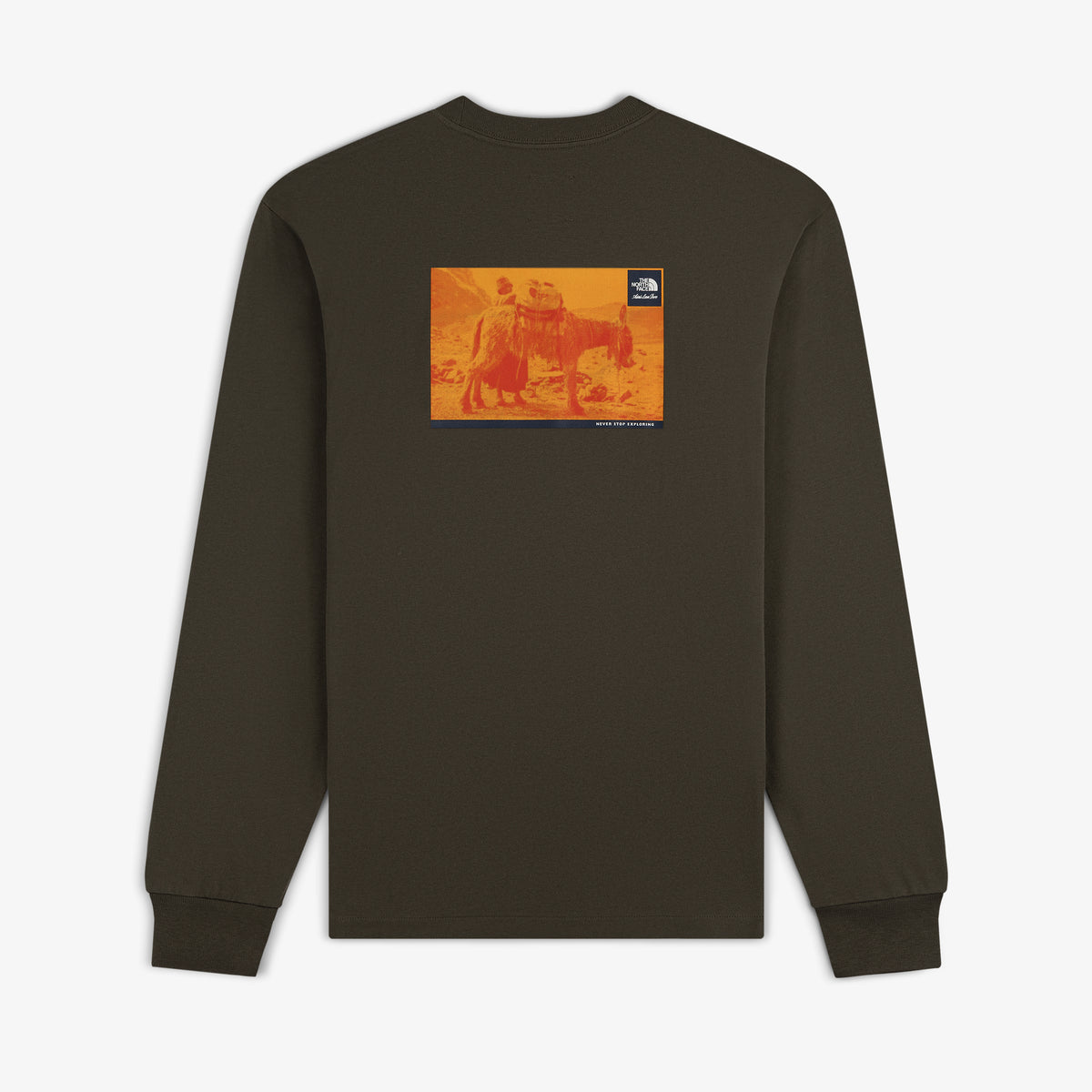 ALD / The North Face Long-Sleeve Explorer Tee – Aimé Leon Dore EU