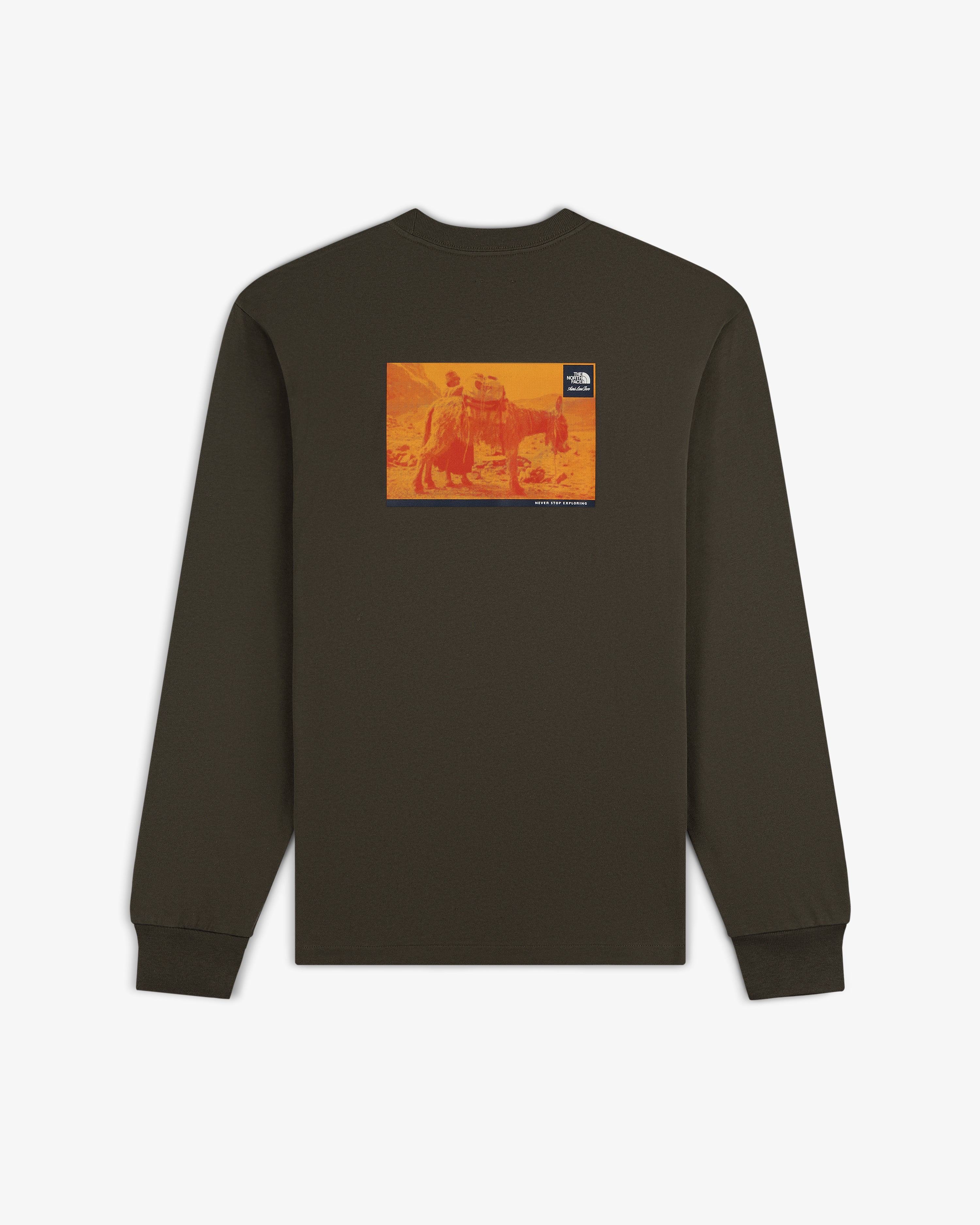 ALD/The North Face Long-Sleeve Explorer Tee with orange-yellow graphic and small logo on the back.
