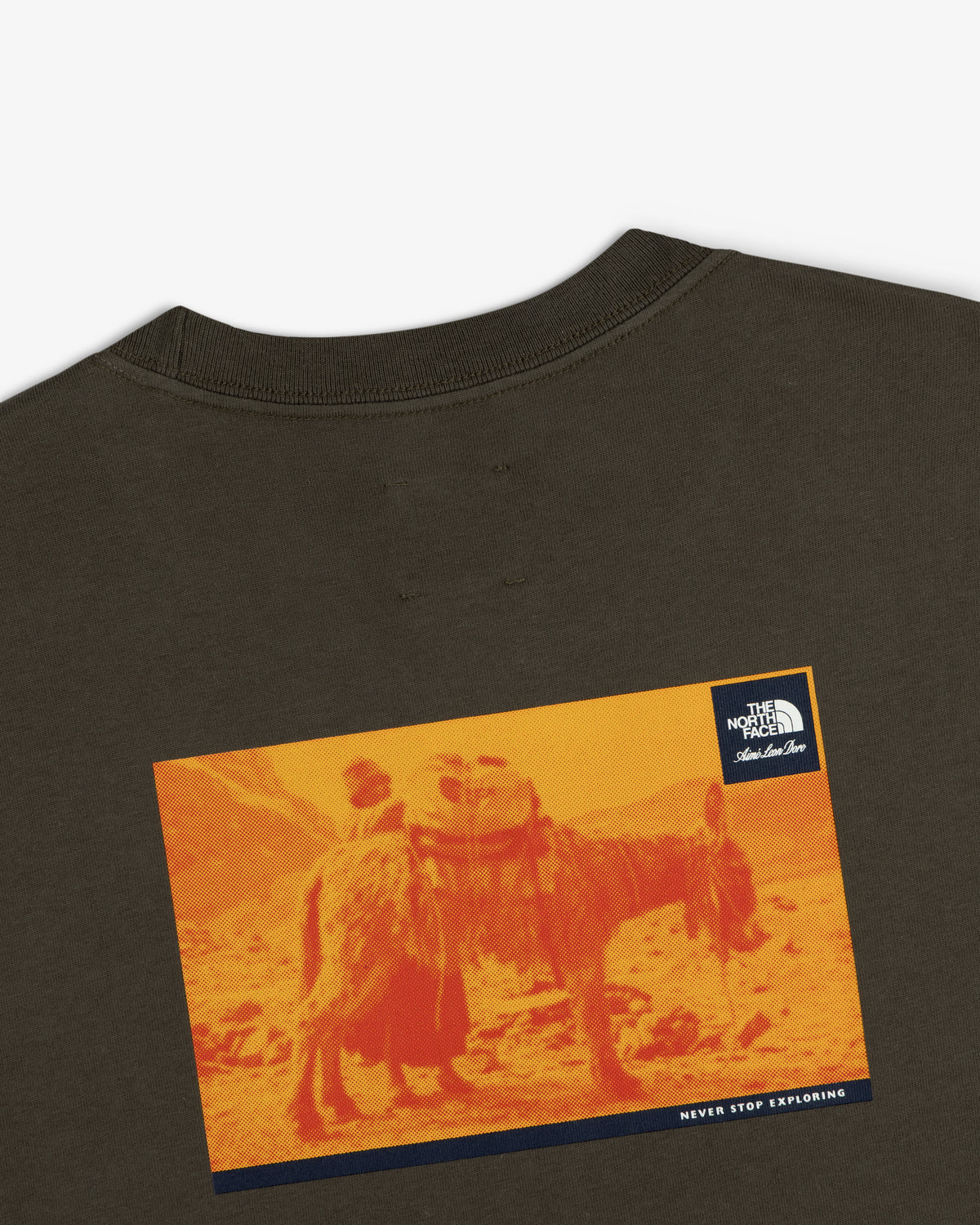 ALD / The North Face Long-Sleeve Explorer Tee with a brown base, orange donkey print, logo, and “Never Stop Exploring.”.