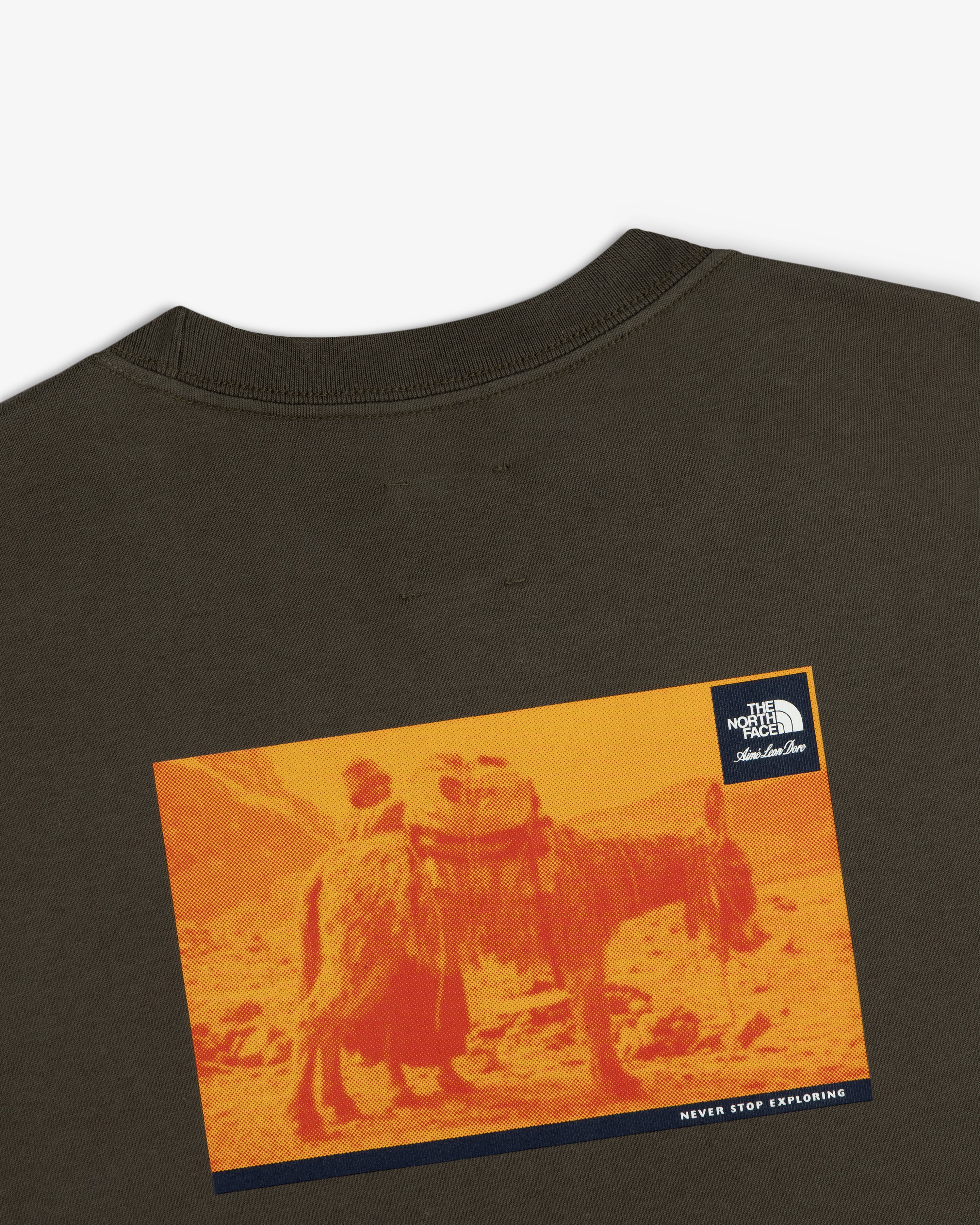 ALD / The North Face Long-Sleeve Explorer Tee with a brown base, orange donkey print, logo, and “Never Stop Exploring.”.
