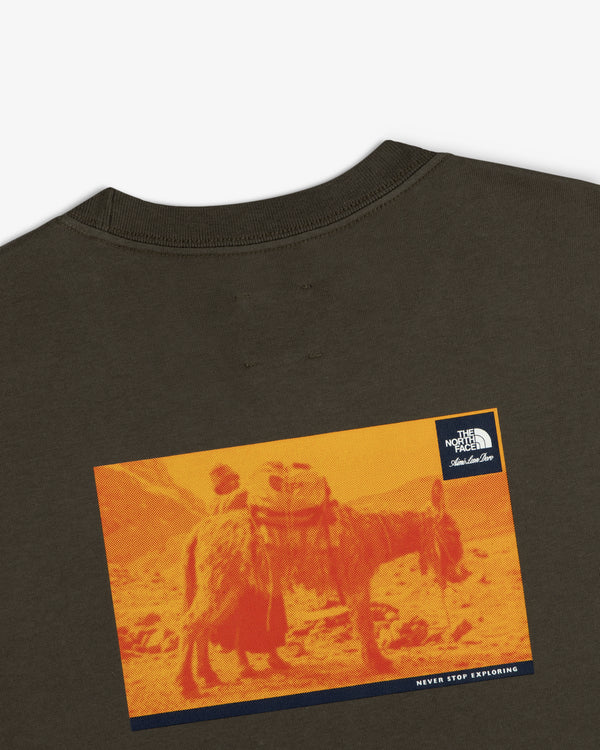 ALD / The North Face Long-Sleeve Explorer Tee with a brown base, orange donkey print, logo, and “Never Stop Exploring.”.