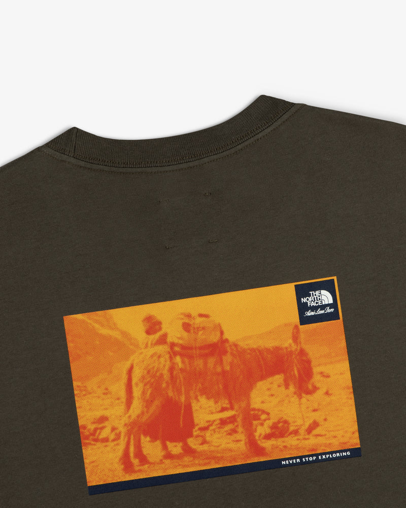 ALD / The North Face Long-Sleeve Explorer Tee with a brown base, orange donkey print, logo, and “Never Stop Exploring.”.