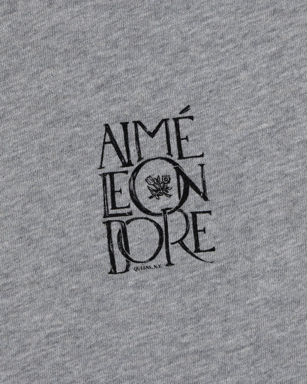 Gray Stacked Logo Slub Tee with black AIMÉ LEON DORE text and a small floral design in the center.