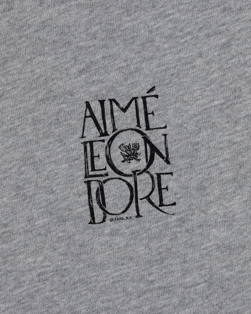 Gray Stacked Logo Slub Tee with black AIMÉ LEON DORE text and a small floral design in the center.