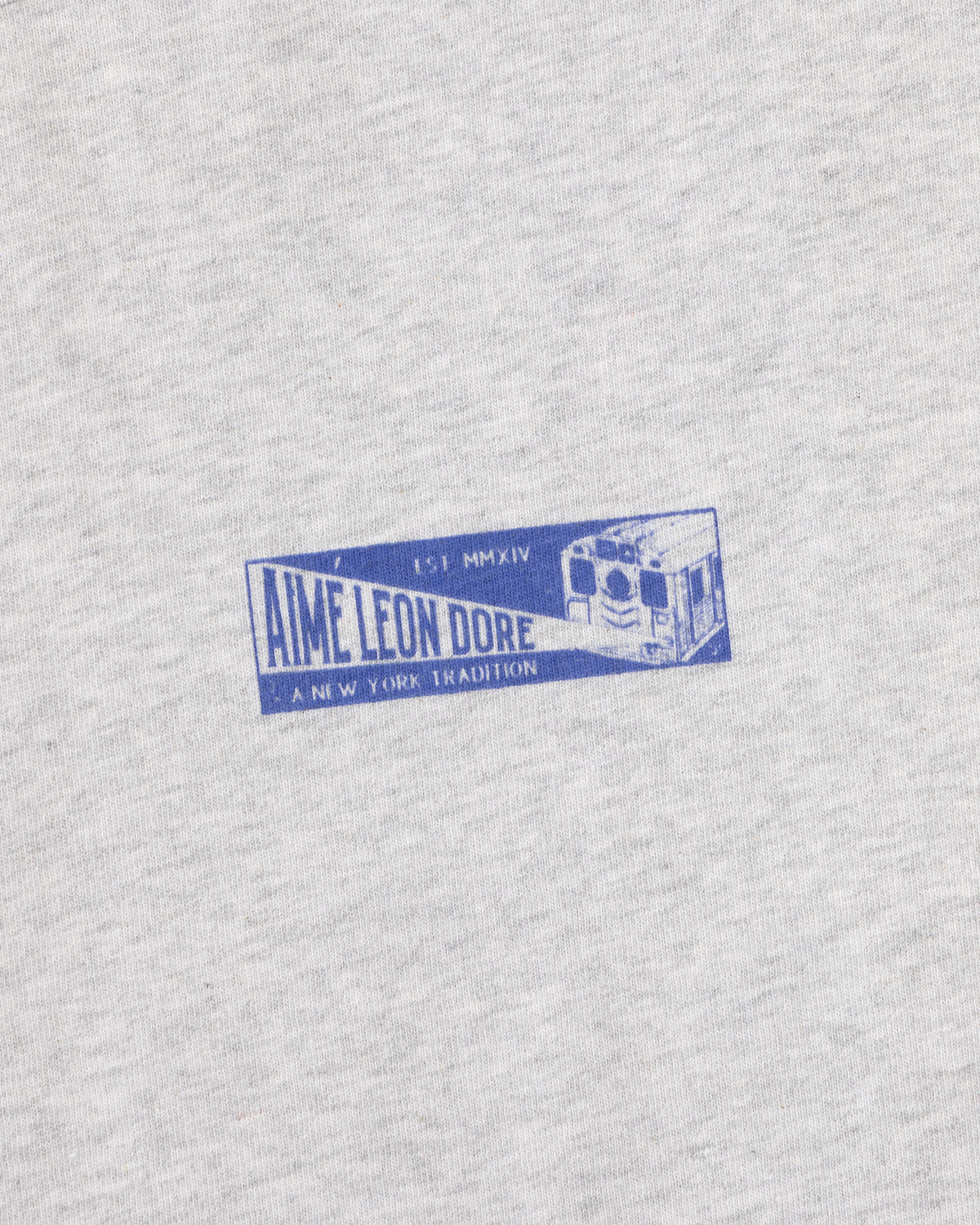 Close-up of a grey heather Aimé Transit Tee featuring a blue subway train graphic and Aime Leon Dore text.