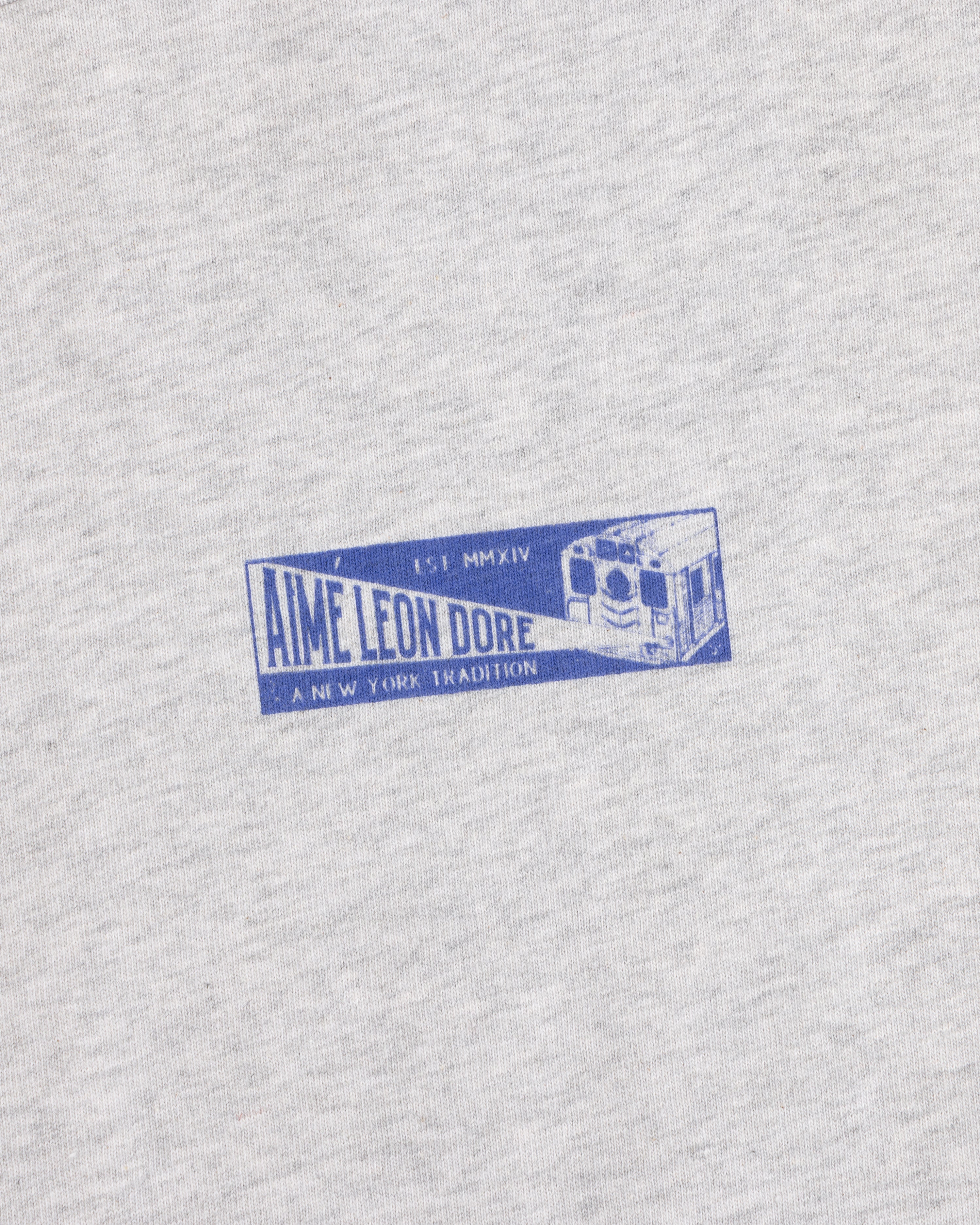Close-up of a grey heather Aimé Transit Tee featuring a blue subway train graphic and Aime Leon Dore text.