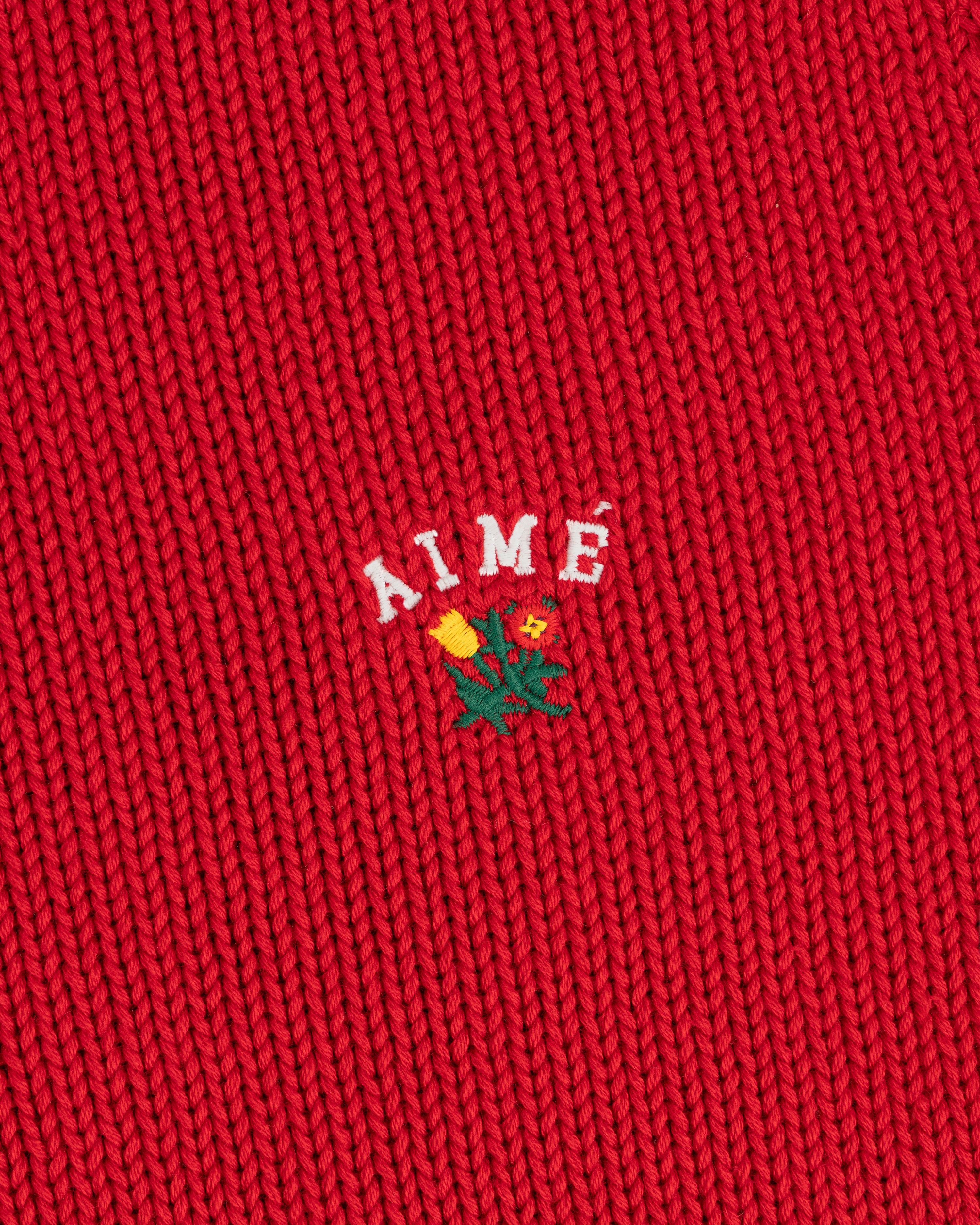 Crest Raglan Sweater: red knit with AIMÉ and small yellow-red floral embroidery at center.