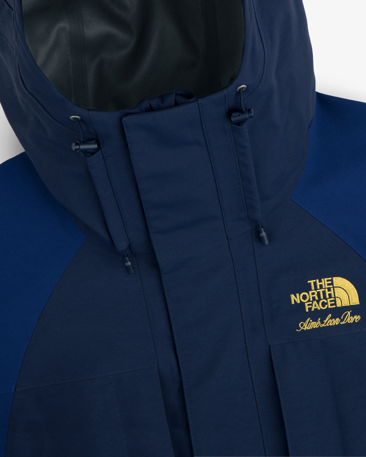 Close-up of ALD / The North Face GORE-TEX 2000 Mountain Jacket in blue, with yellow logo and Aimé Leon Dore chest text.