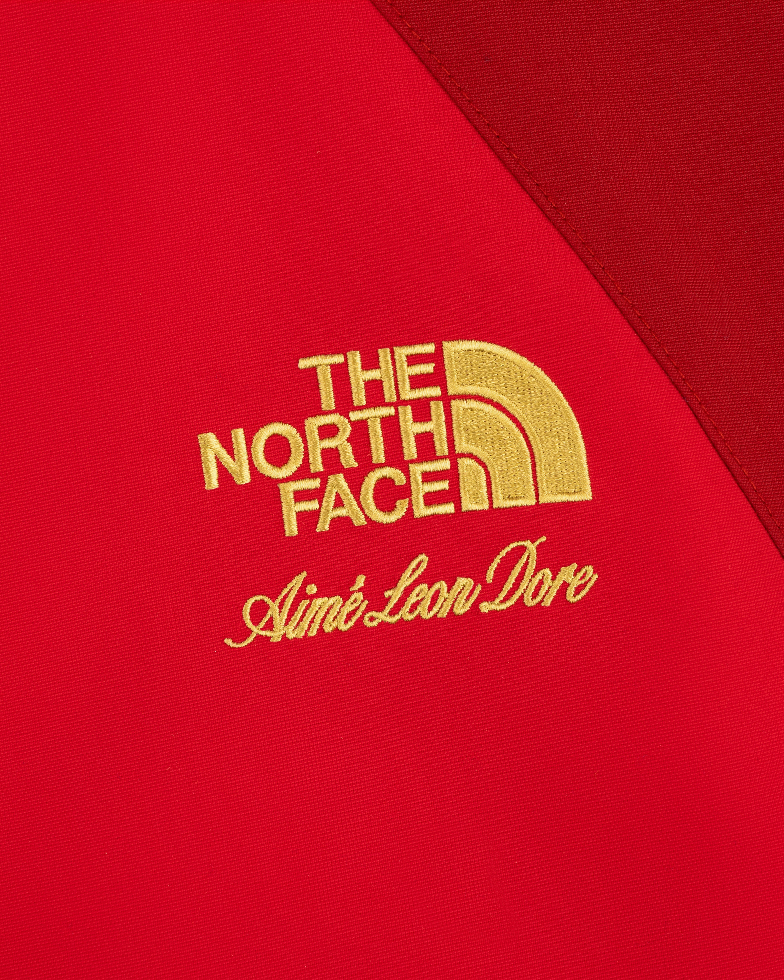 Red ALD/The North Face GORE-TEX 2000 Mountain Jacket with embroidered yellow logos.