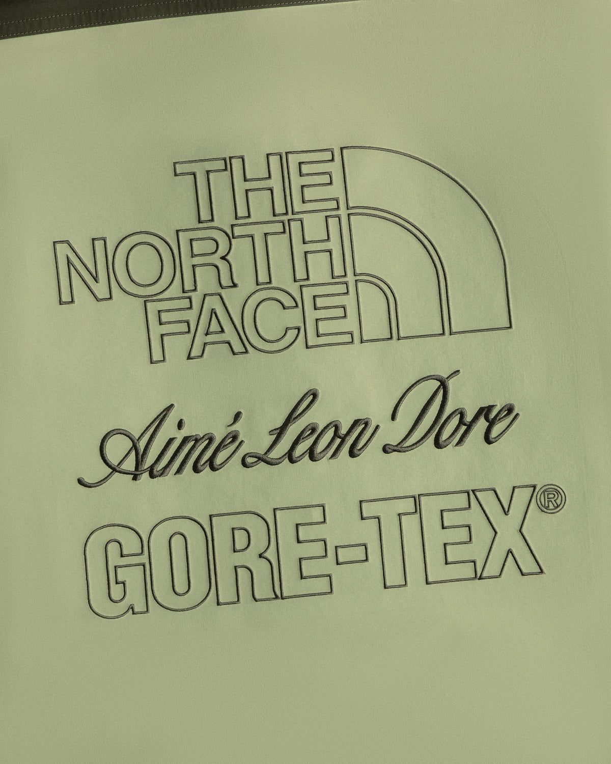 ALD, The North Face, and GORE-TEX logos in black on light green ALD / The North Face GORE-TEX Trench Coat.