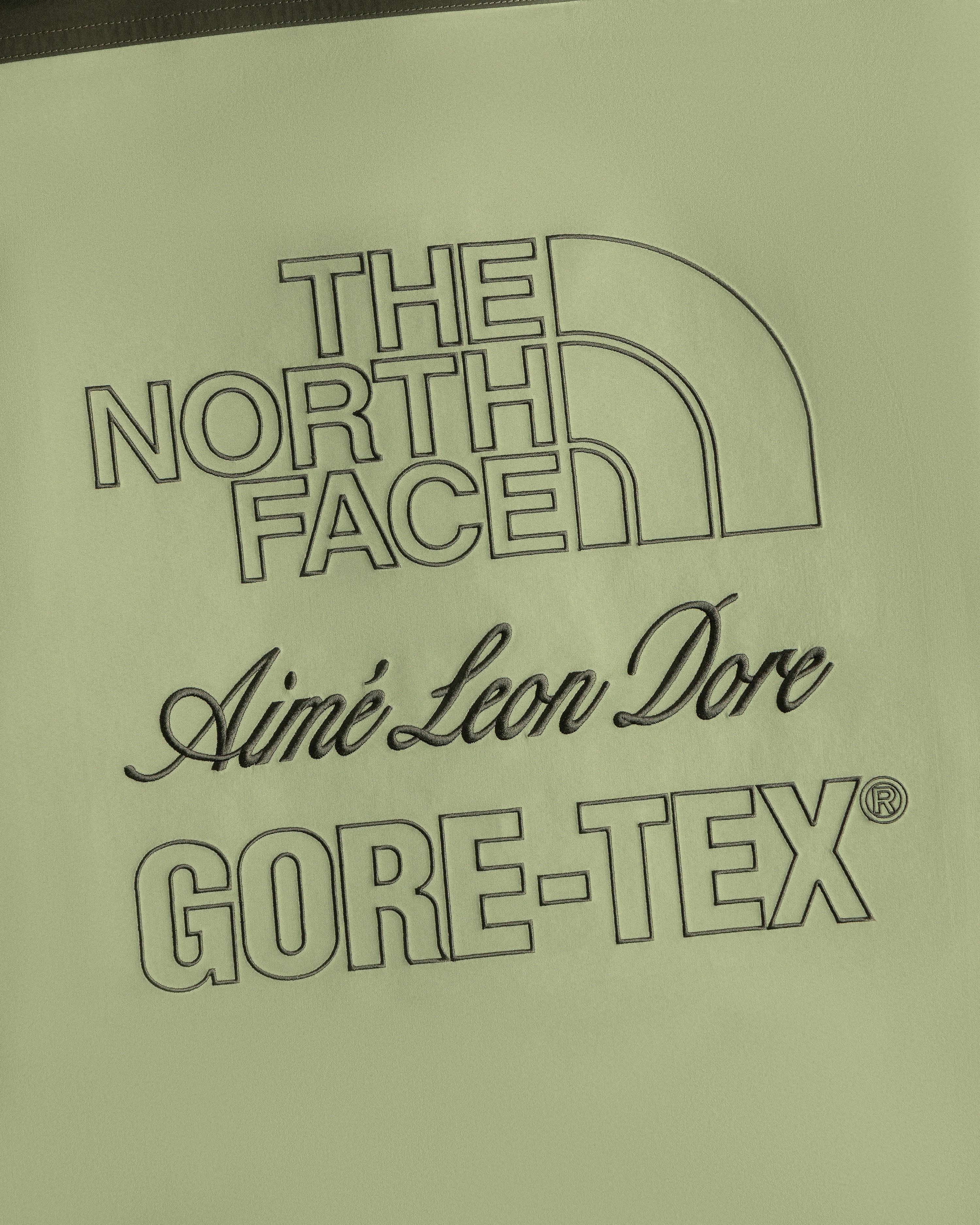 ALD, The North Face, and GORE-TEX logos in black on light green ALD / The North Face GORE-TEX Trench Coat.