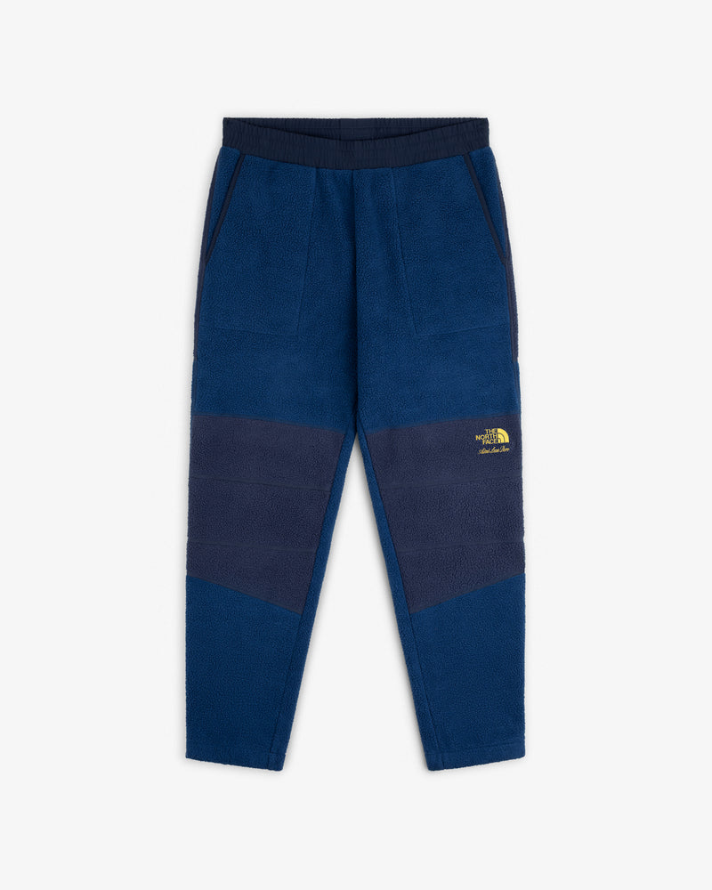 ALD/The North Face Denali Fleece Pant: blue joggers with dark panels, elastic waist, side pockets, yellow logo.