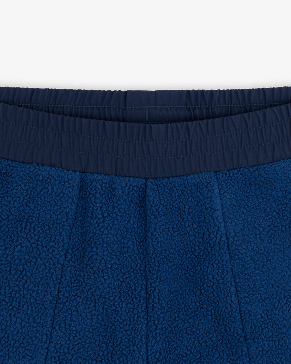 Close-up of ALD / The North Face Denali Fleece Pant with elastic waistband on a white background.