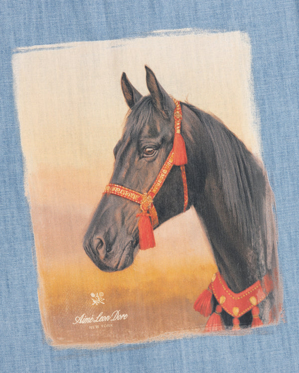 Black horse with red-tasseled bridle on warm background, featured on the Bayard Chambray Shirt’s blue fabric.
